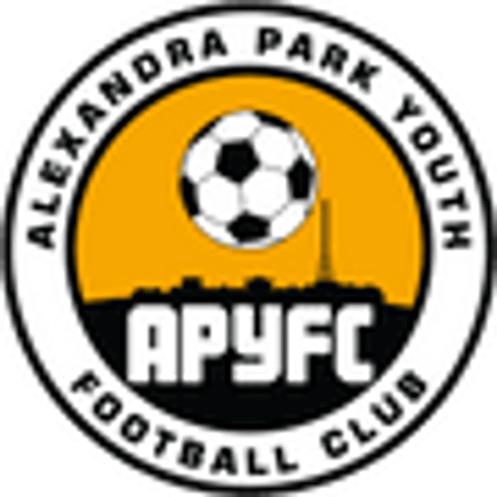 Alexandra Park Youth Football Club
