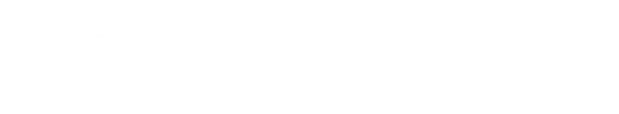 Pointe Nation Adult Ballet