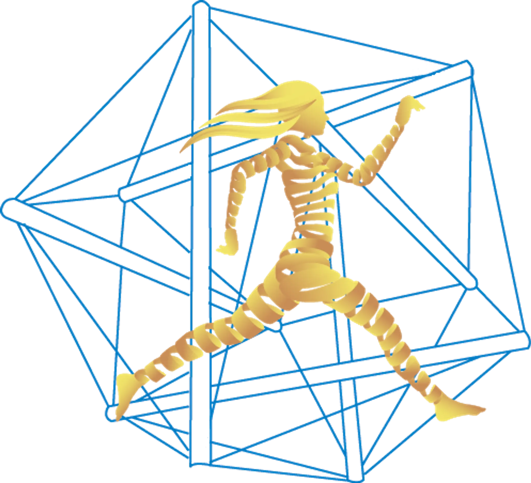 Meant to Move - Movement Coaching and Personal Training