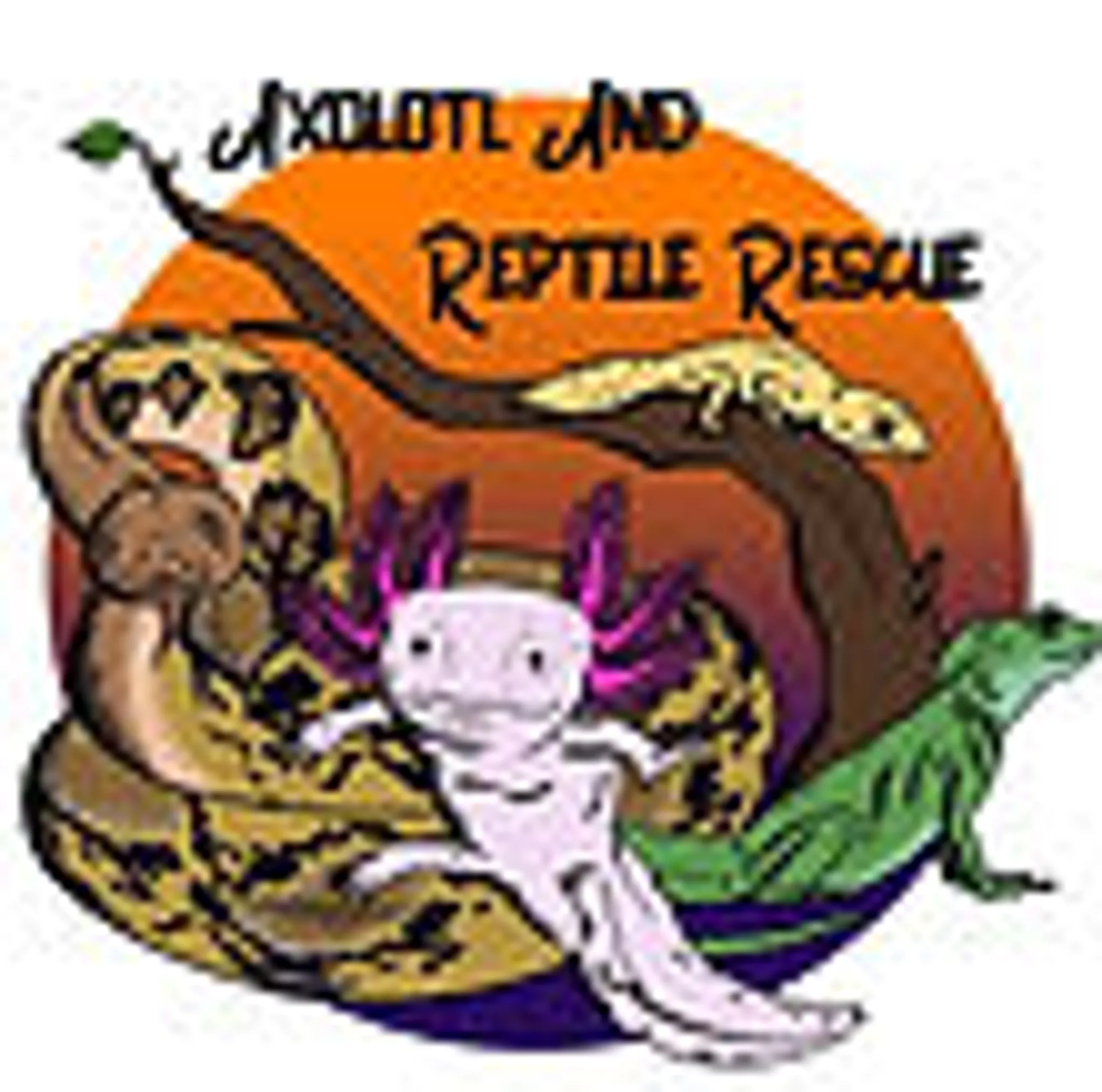 Axolotl And Reptile Rescue And advice UK