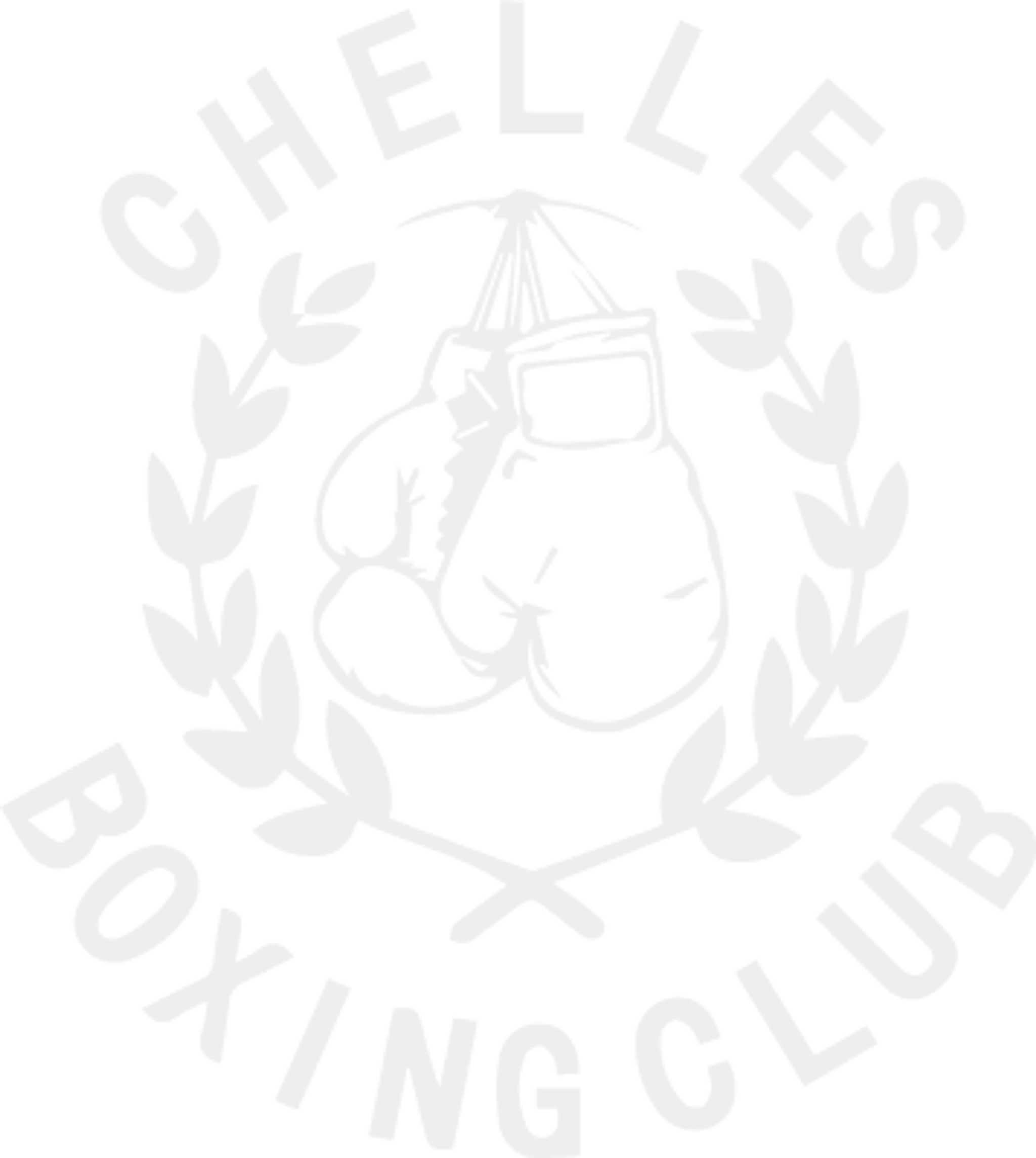 Chelles Boxing Club I Gym Marie-Amelie Le Fur À La Noue Brossard