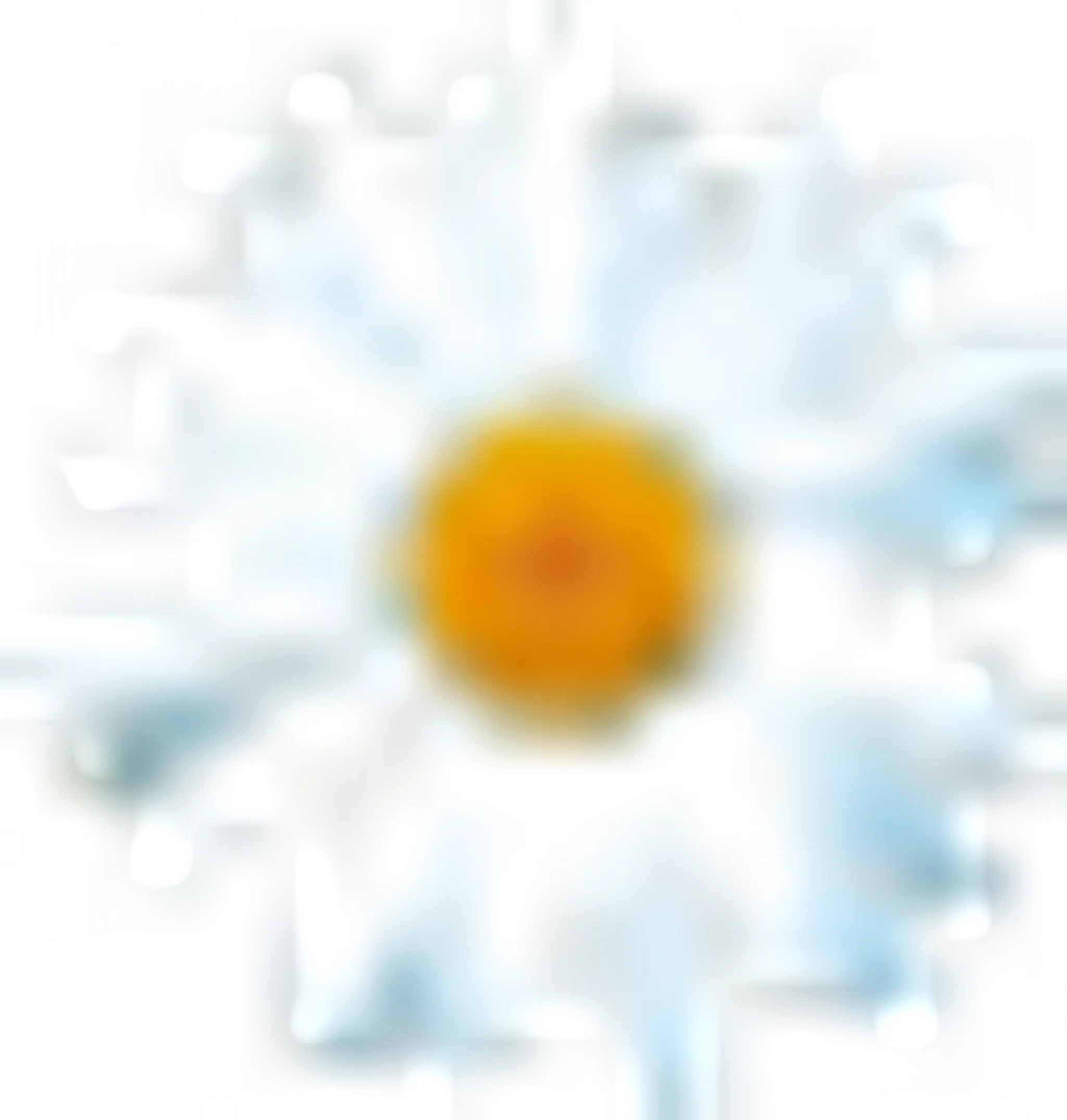 Esperance Racing Athletisme Antibes