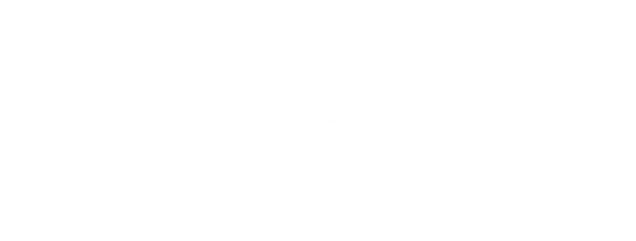 AVT Mixed Martial Arts & Fitness