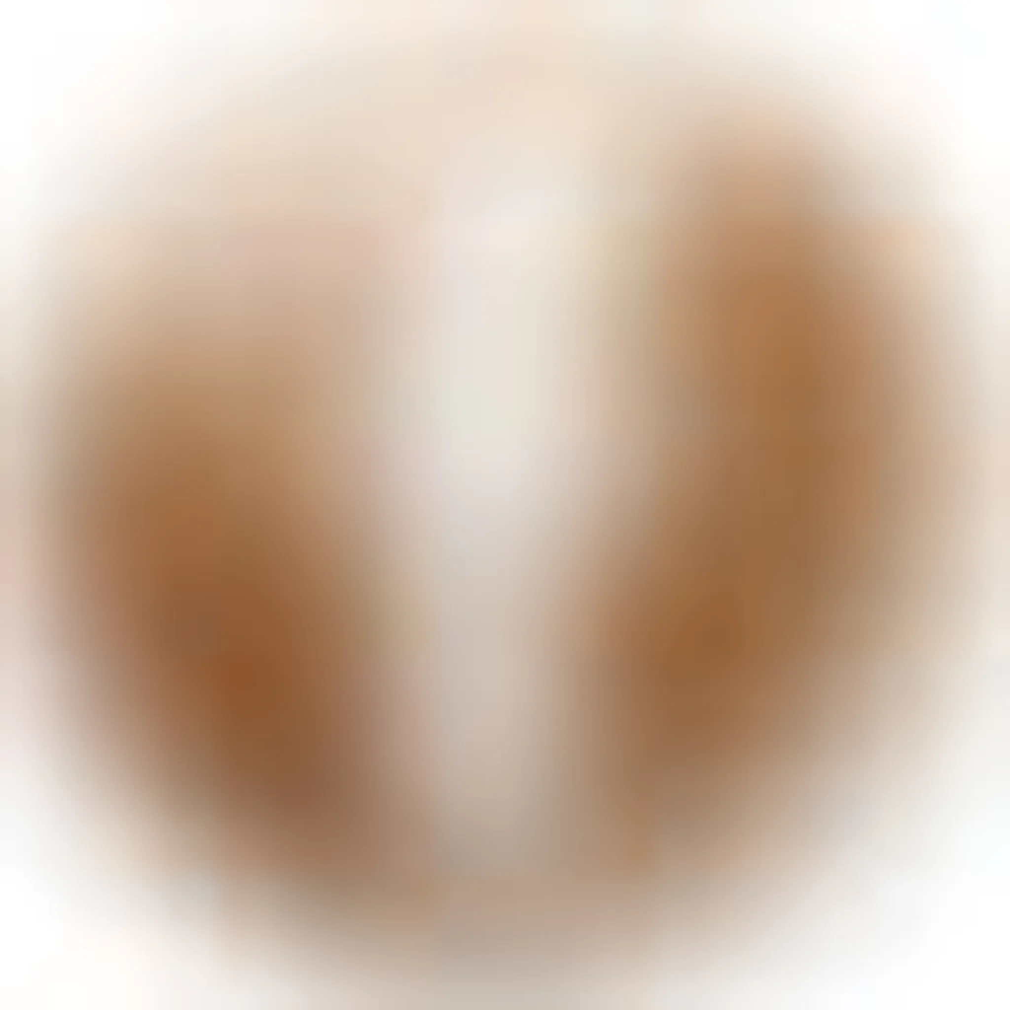 Levie Performance Horses