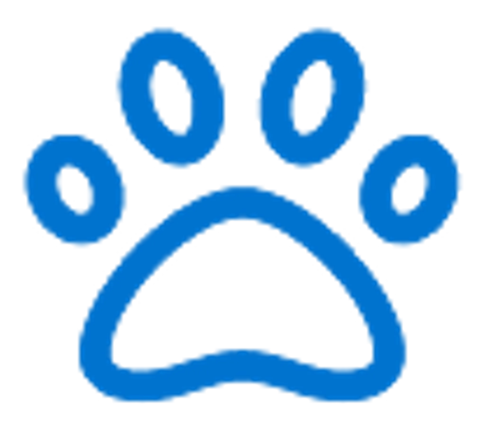 Margaret River Skate Park