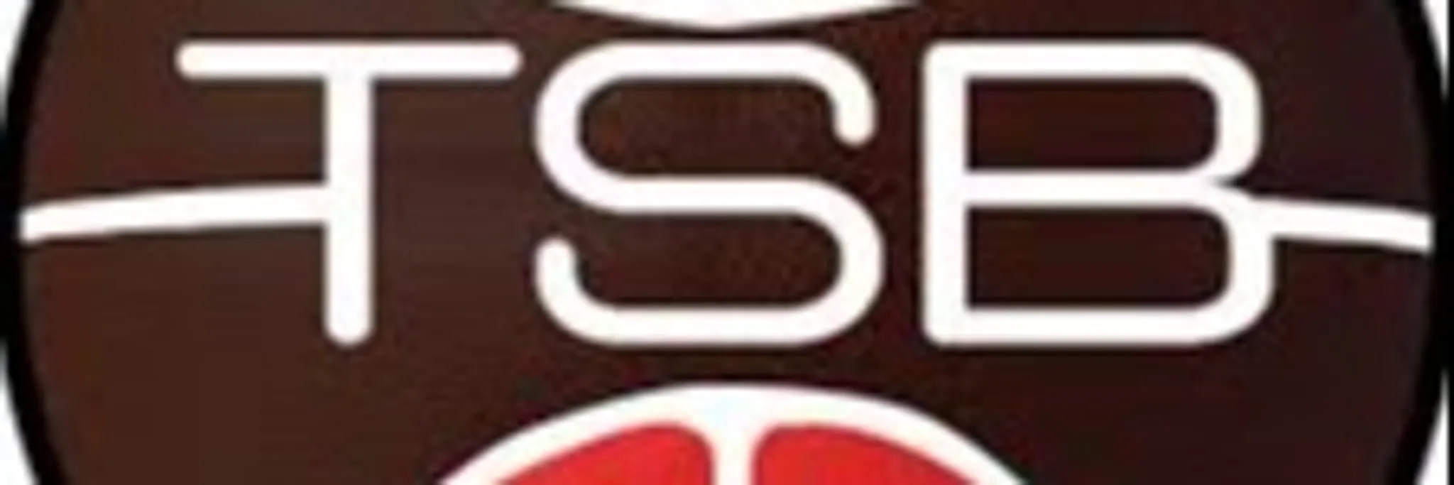 Tomorrow's Stars Basketball