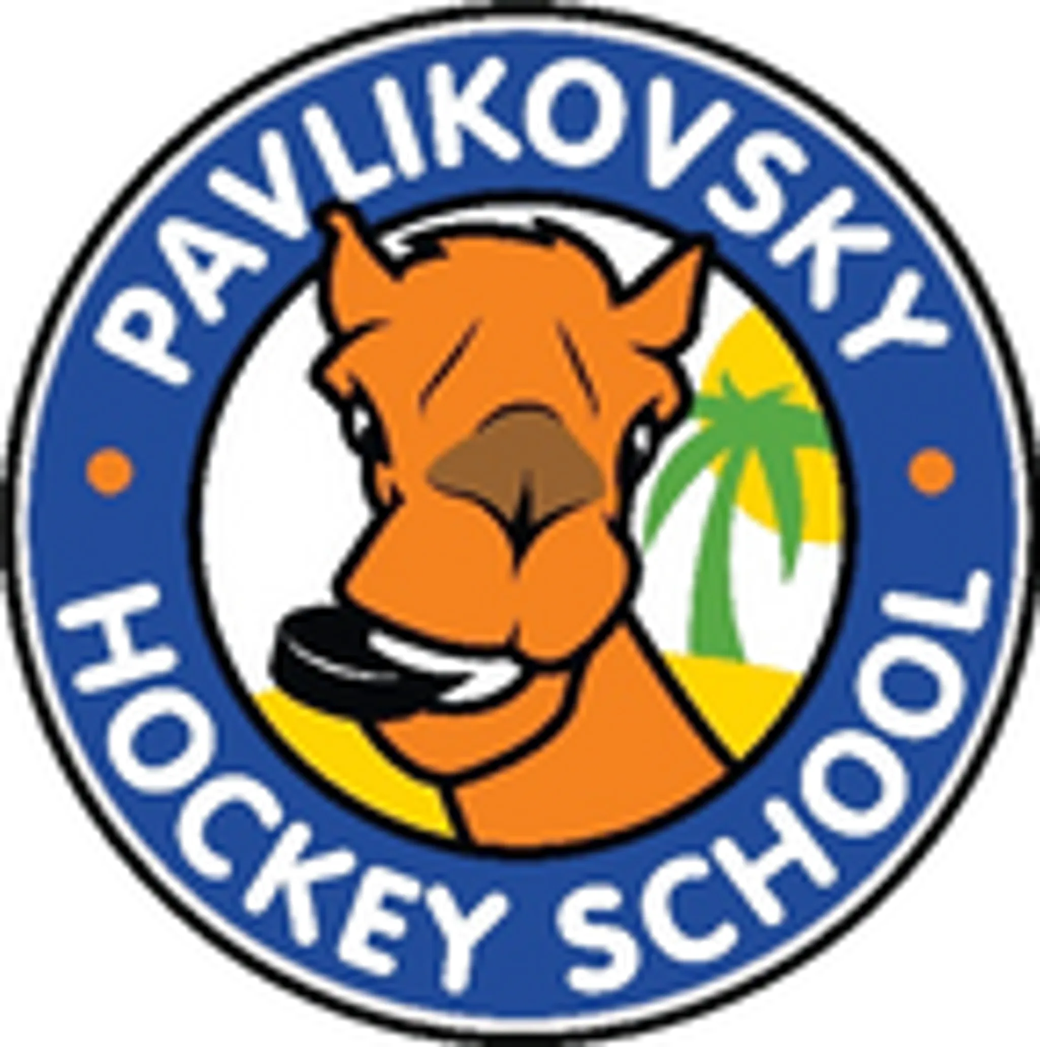 Pavlikovsky Hockey School