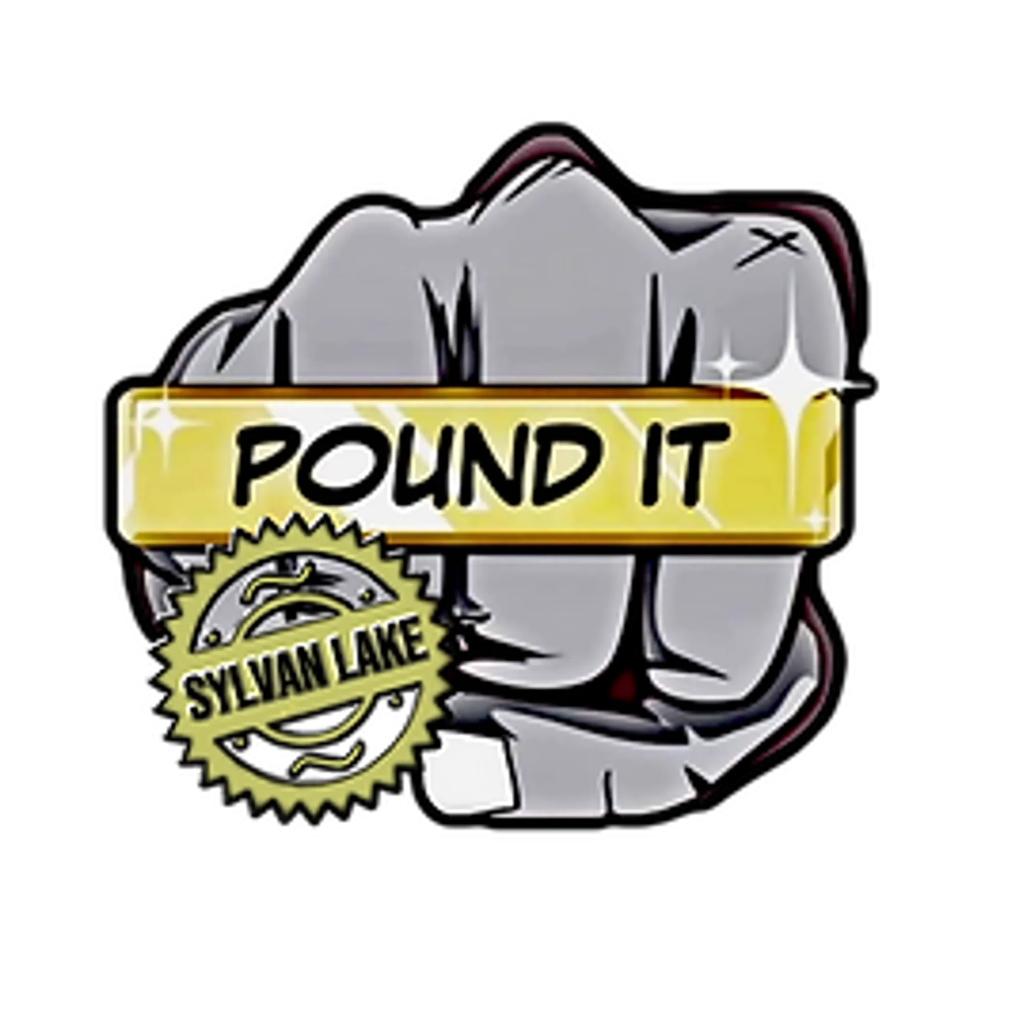 Pound It Hip Hop Studio