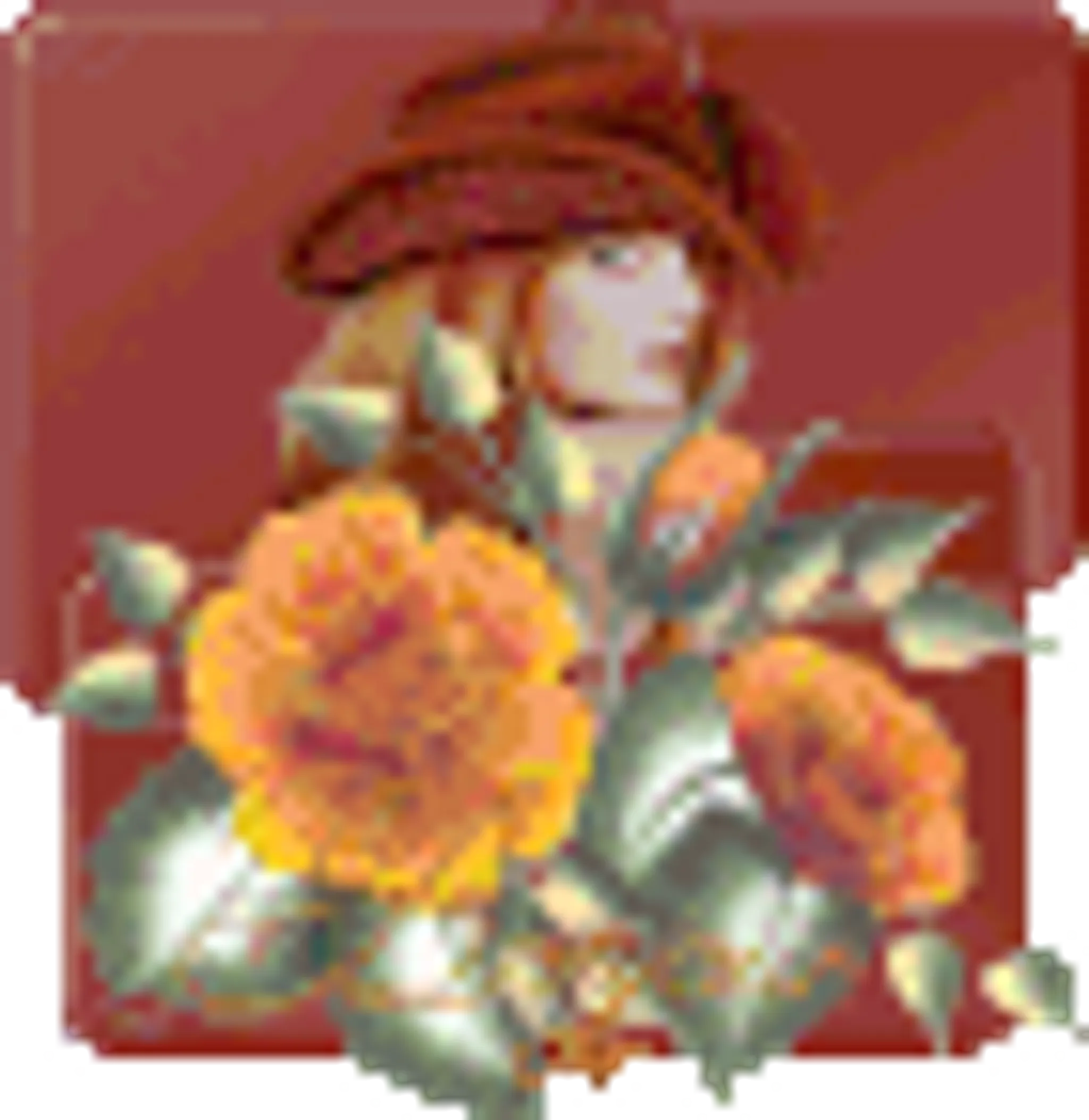 Newcastle Country Dancer's France