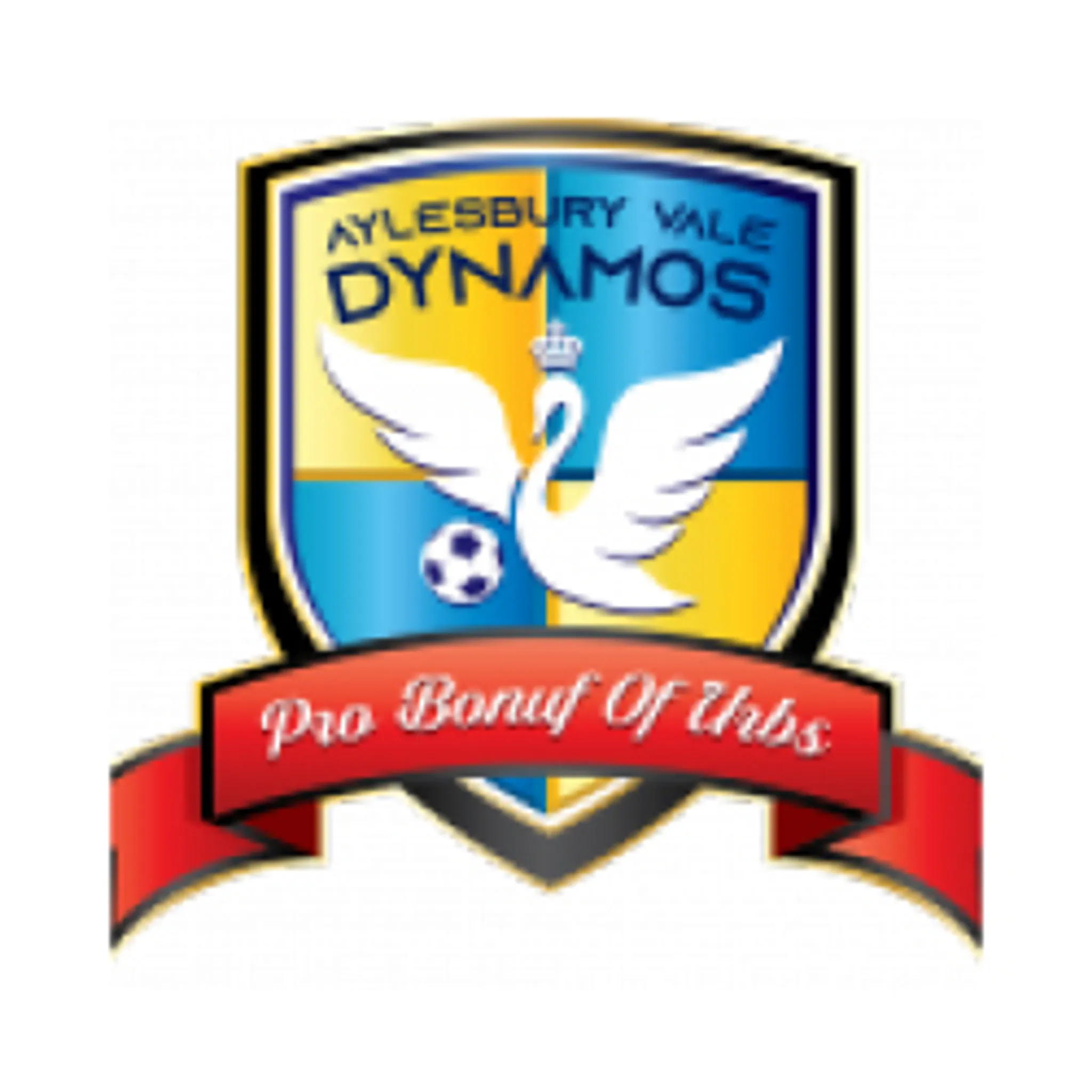 Wellingborough Whitworth FC