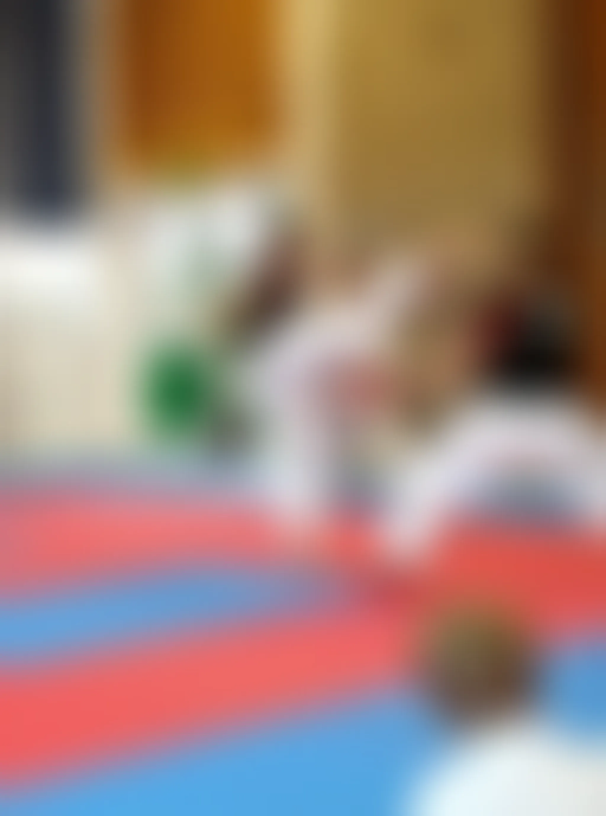 Neath Bushi Kai Karate