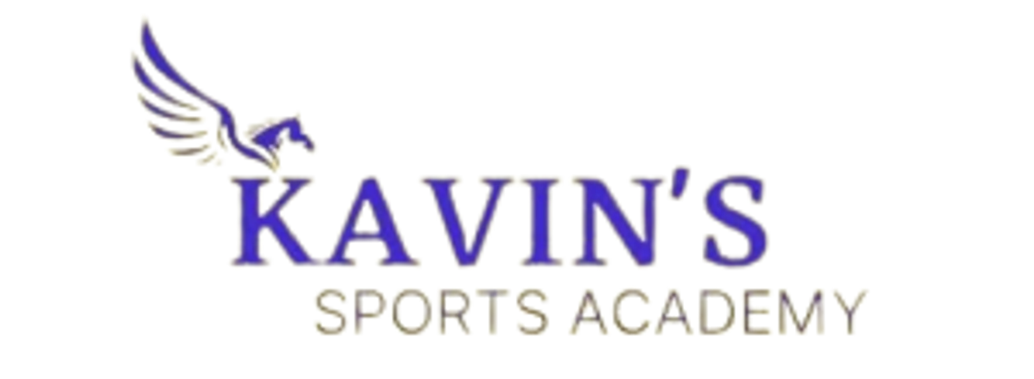 KAVIN'S SPORTS ACADEMY - PUDUR