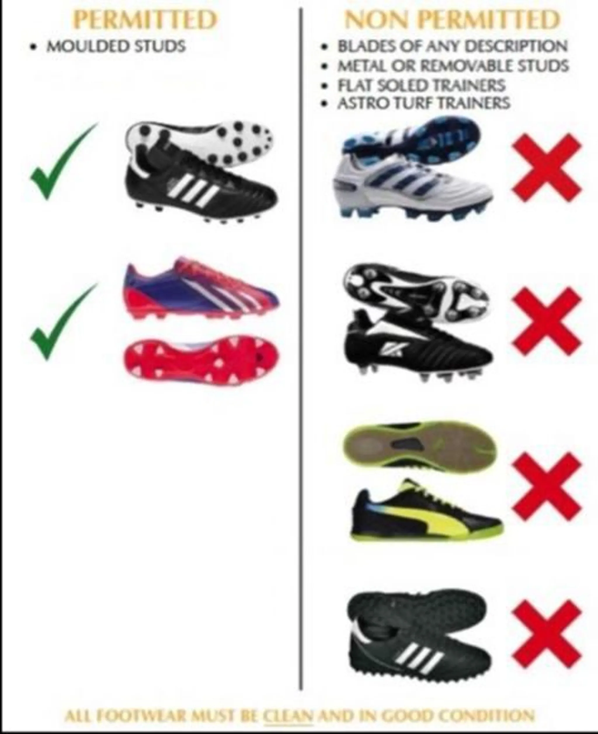 St. Anne's Astro Pitch