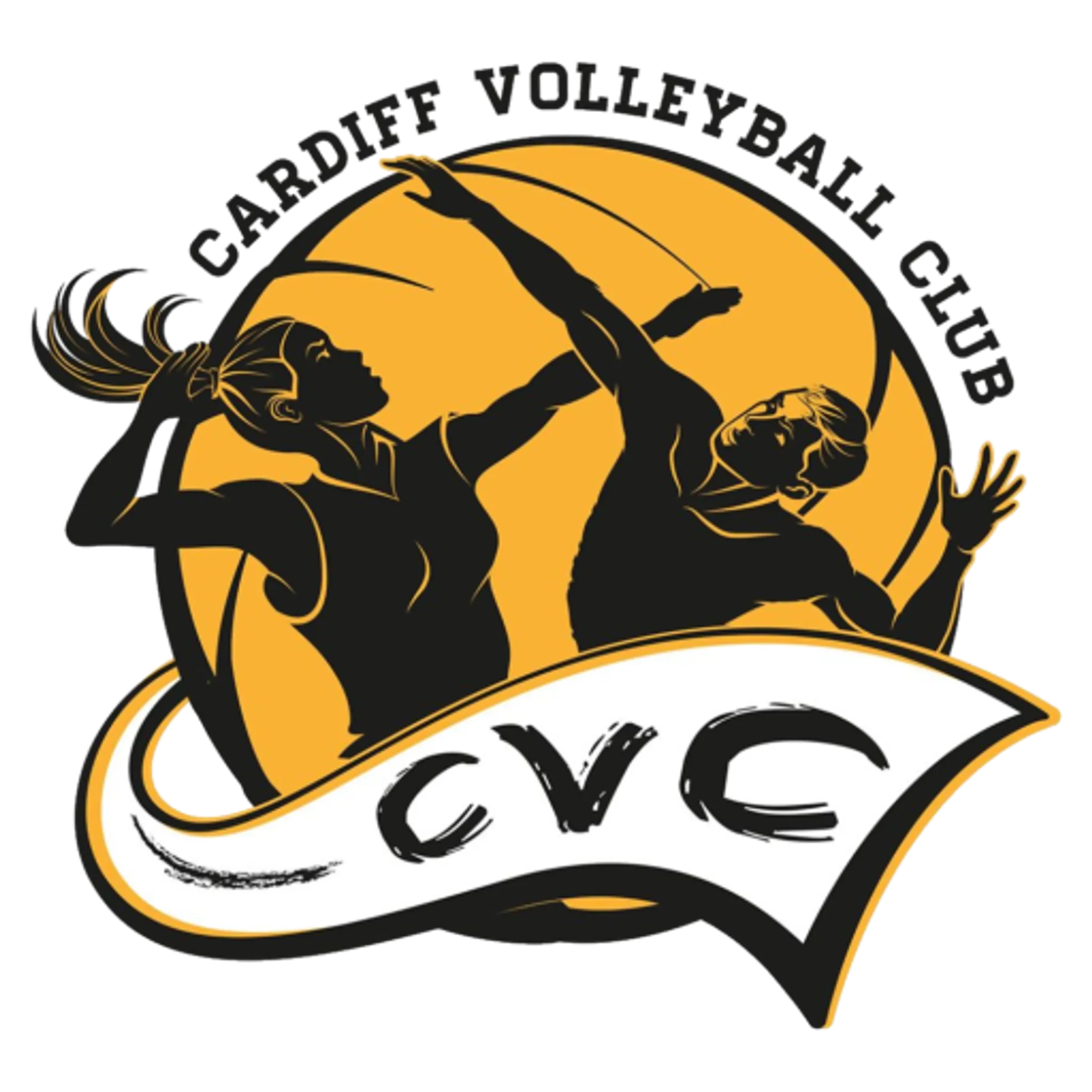 Cardiff Volleyball Club