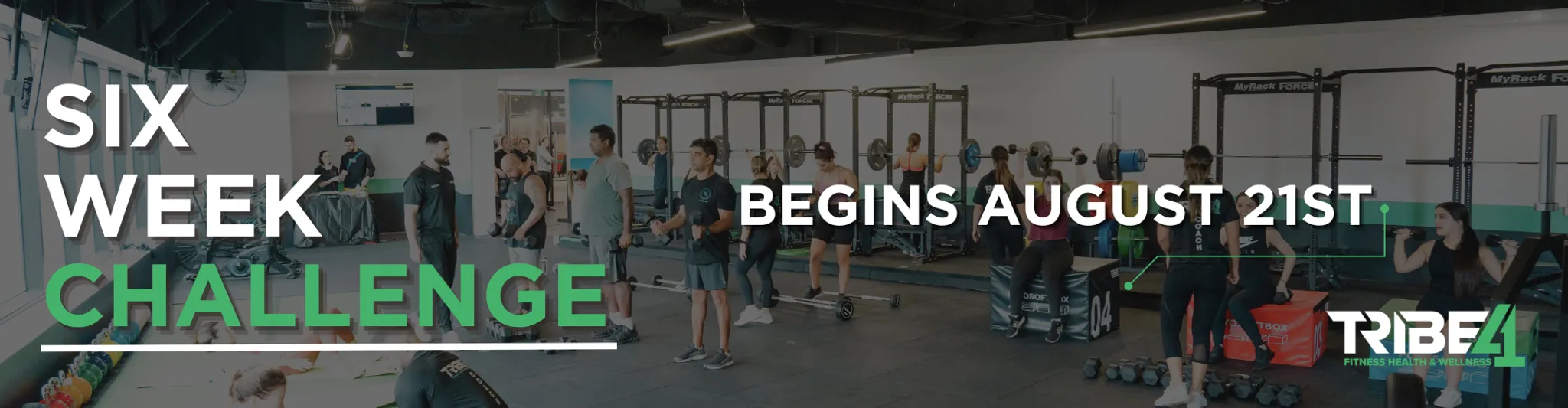 Tribe41 Six Week Challenge
