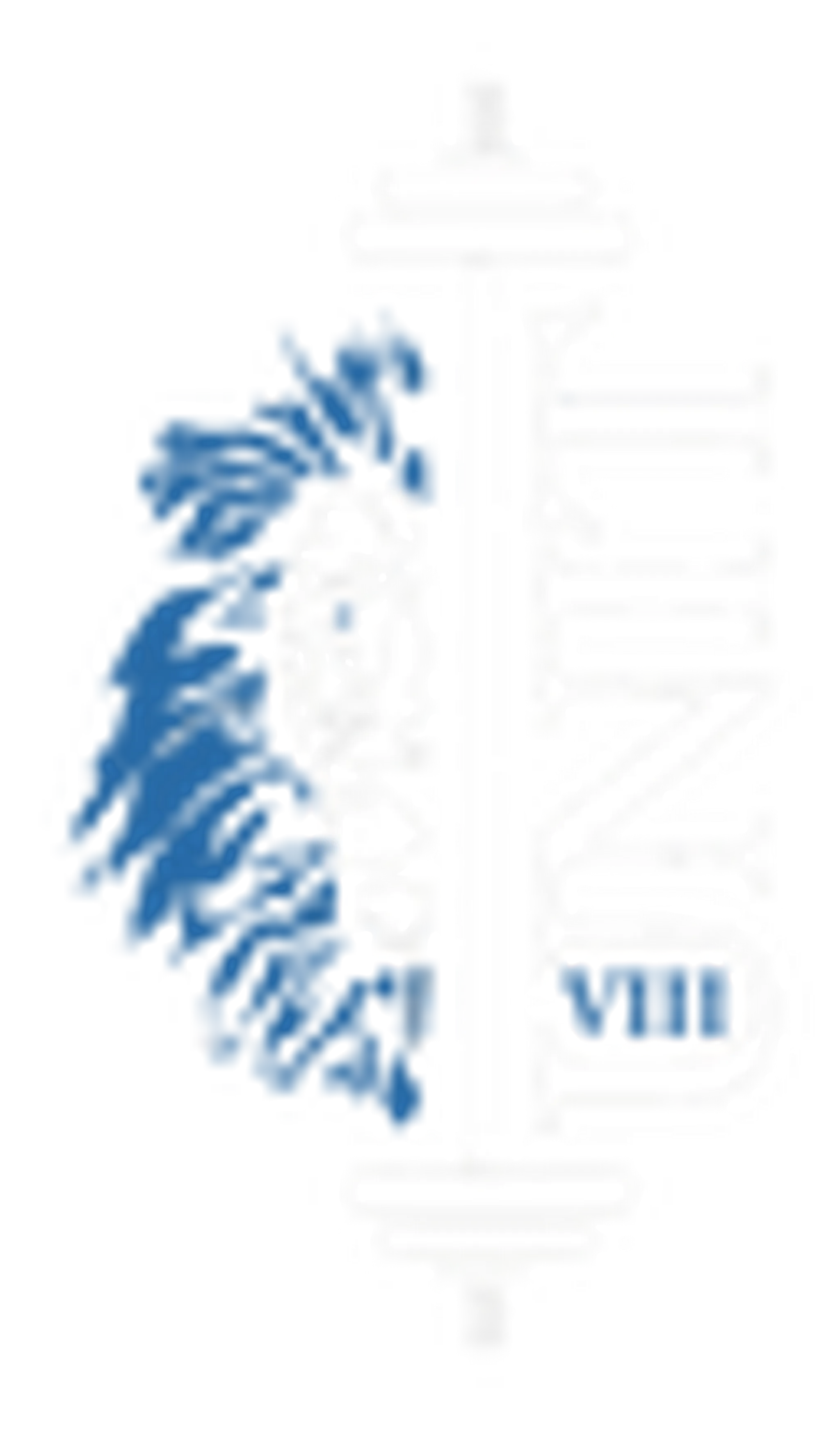 Unit VIII Strength and Fitness