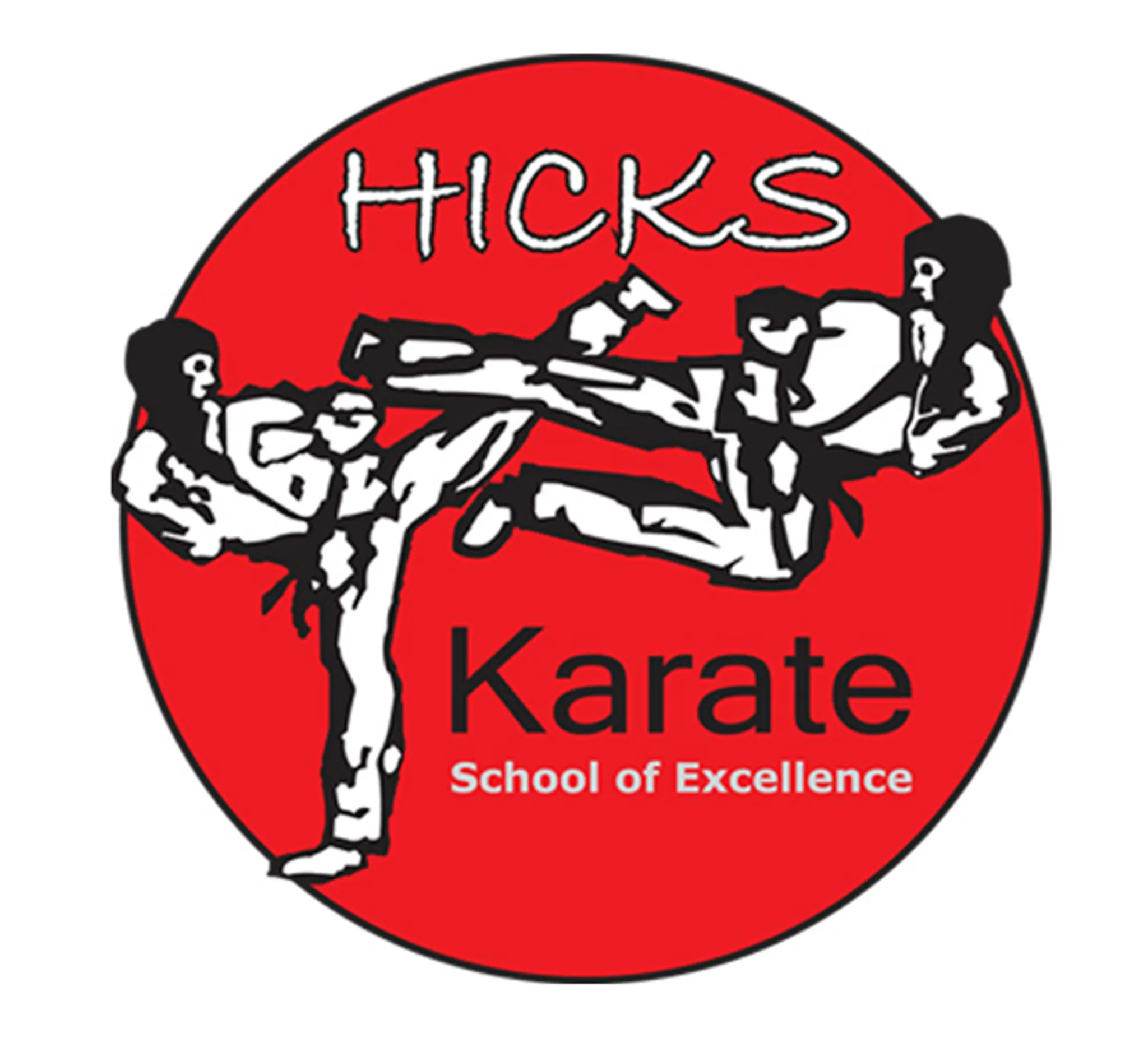 Hicks Karate School of Excellence