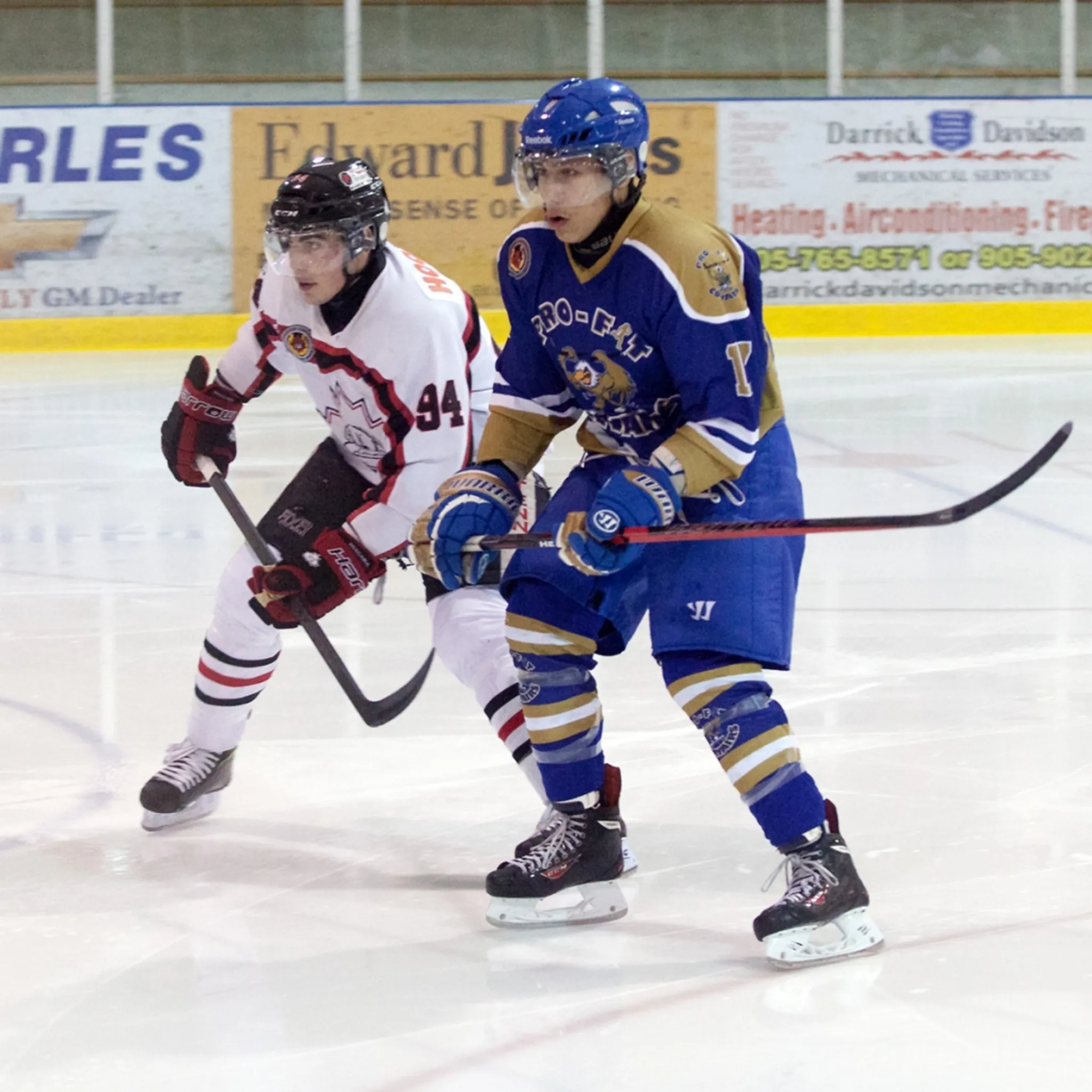 Corvairs Prospect Camp
