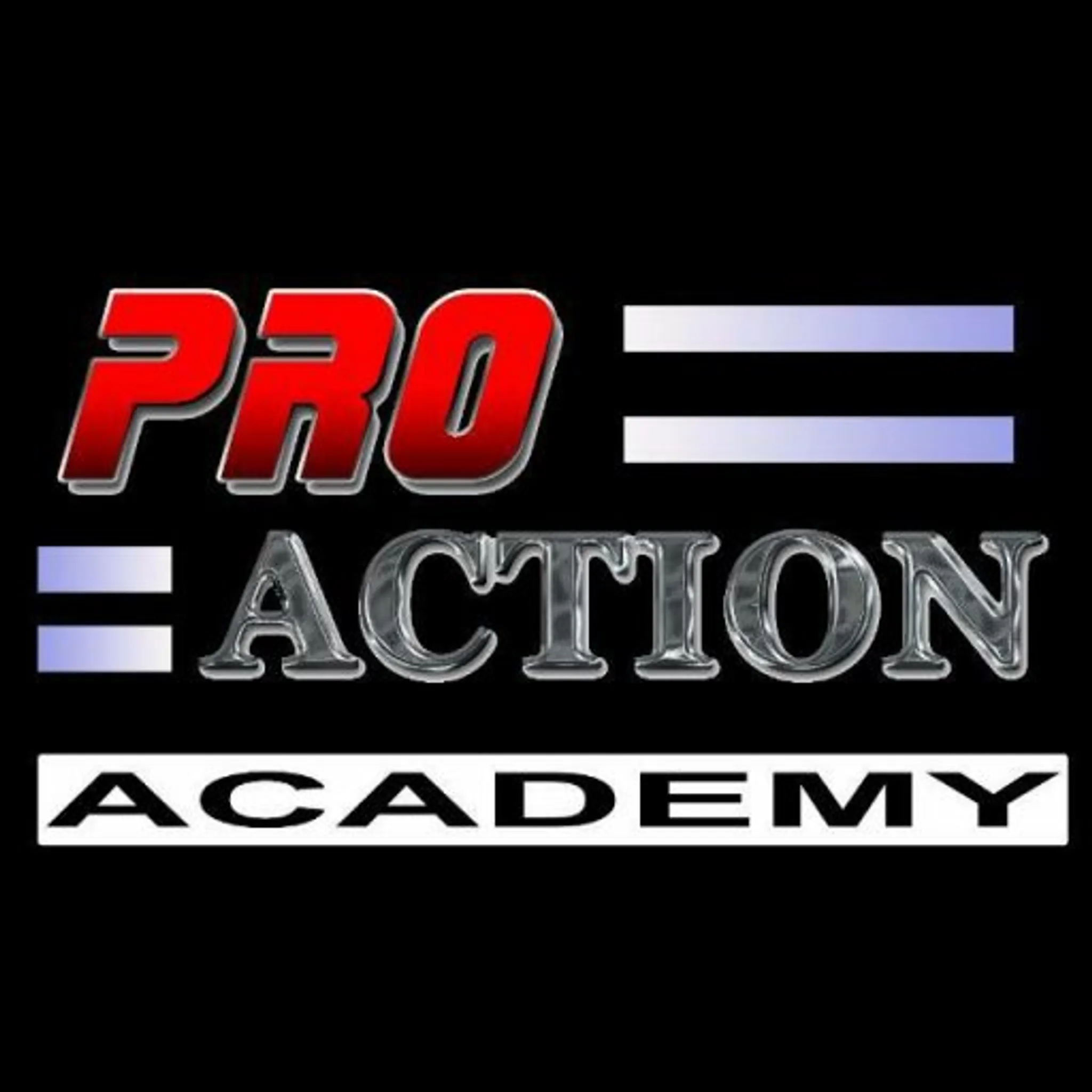 Pro Action MMA Gym of Guru Hemang