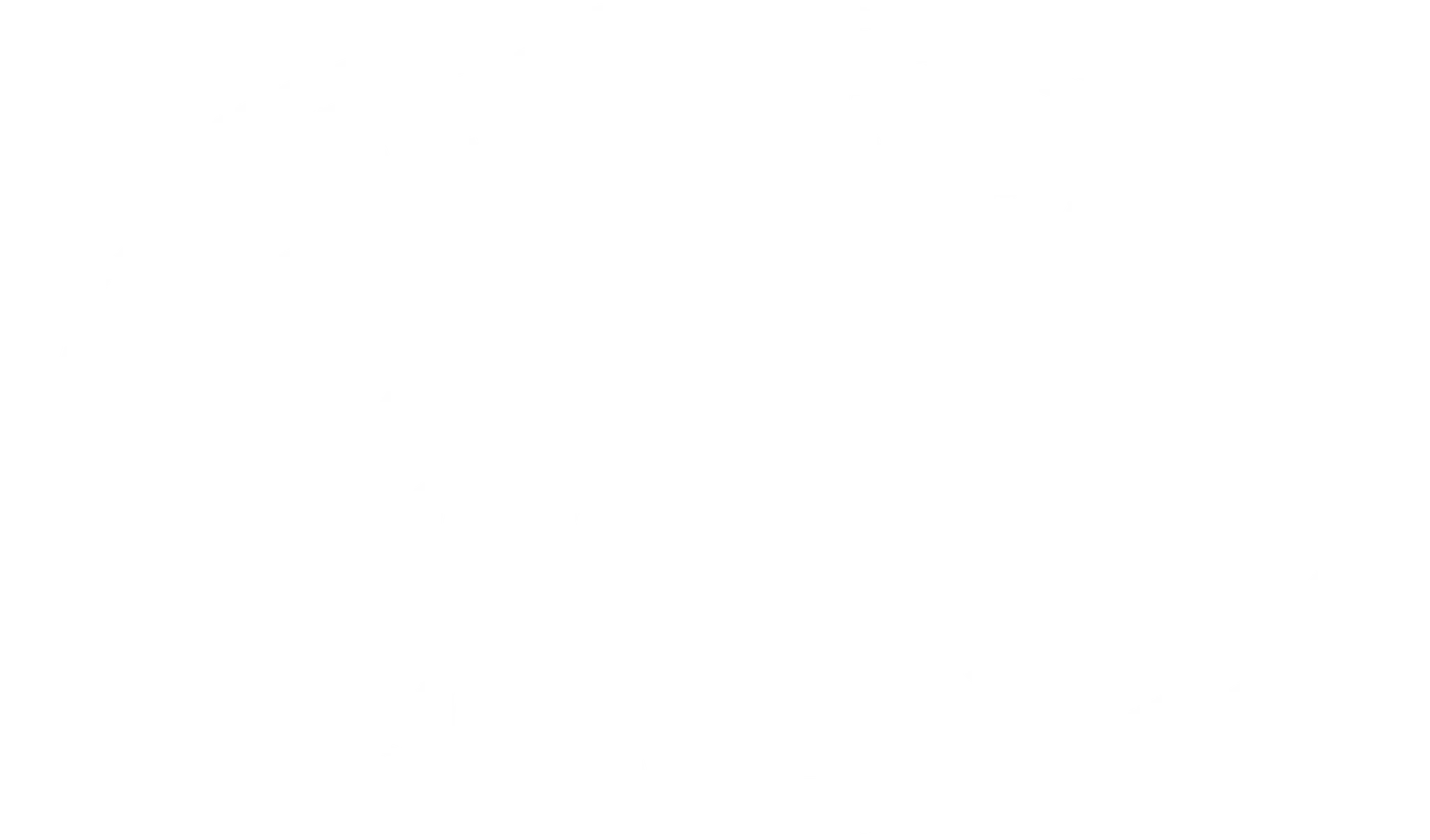 Dunedin Riding Academy