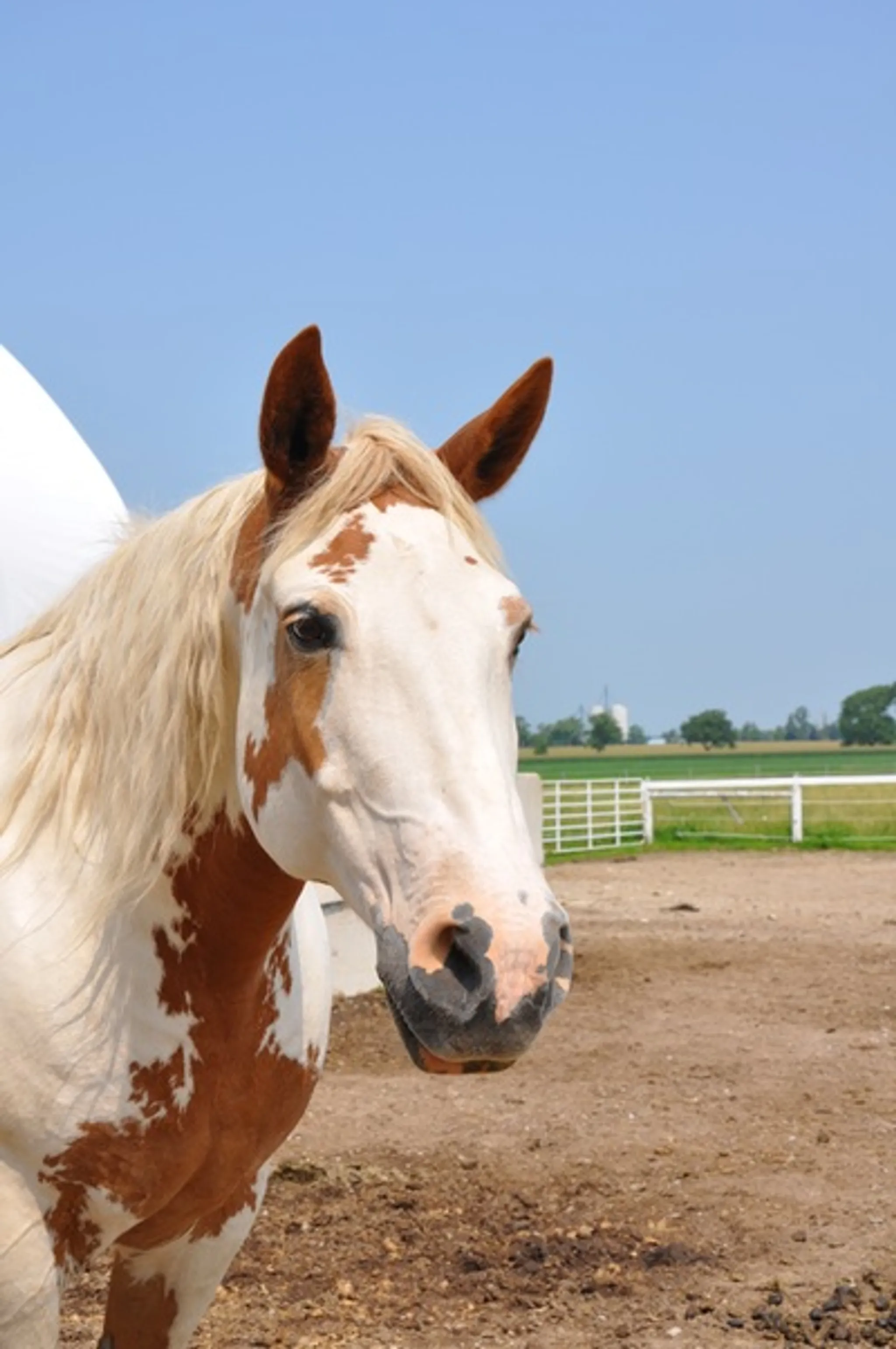 2024 Spring Riding Session