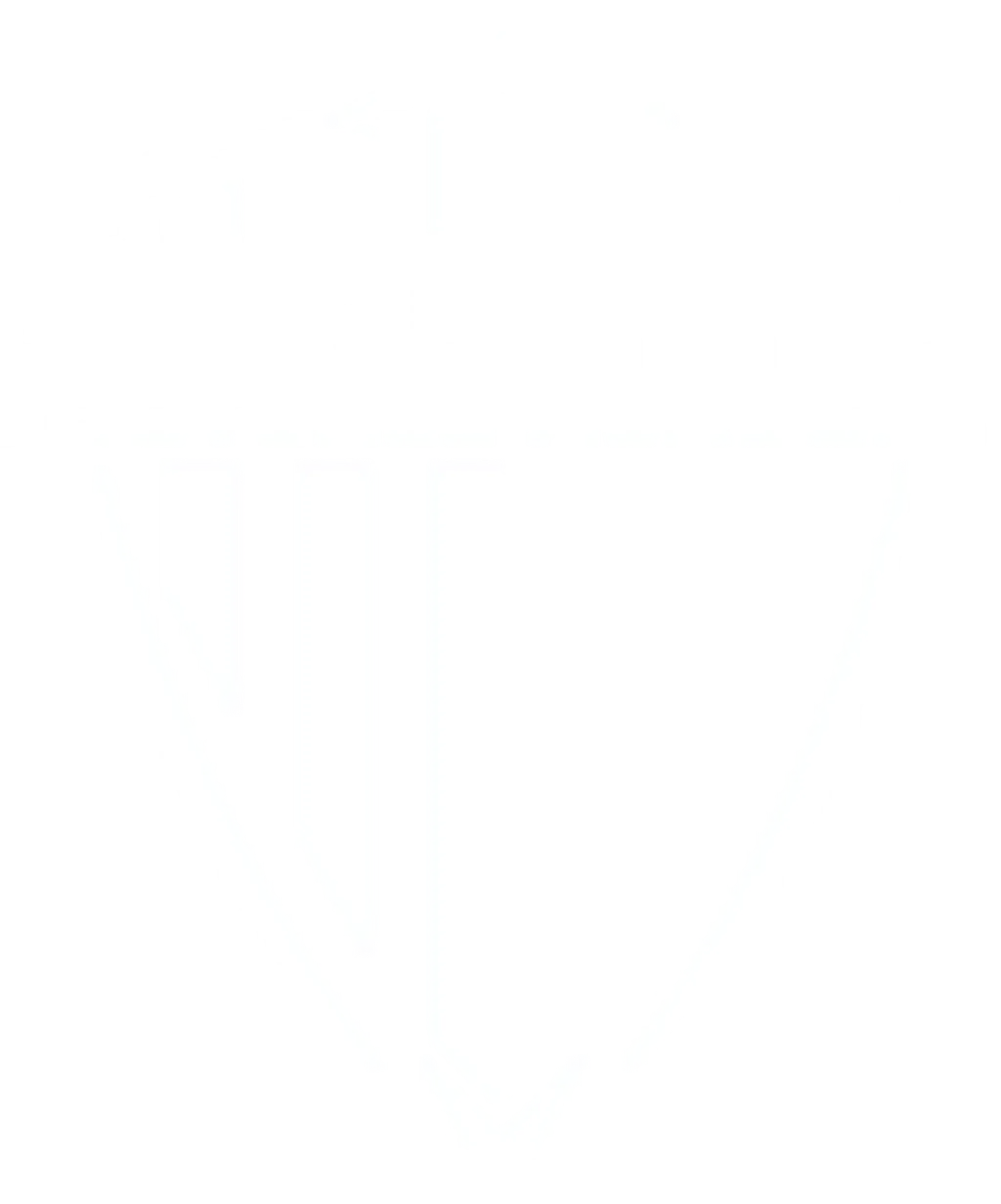 Euro Pro Football Academy