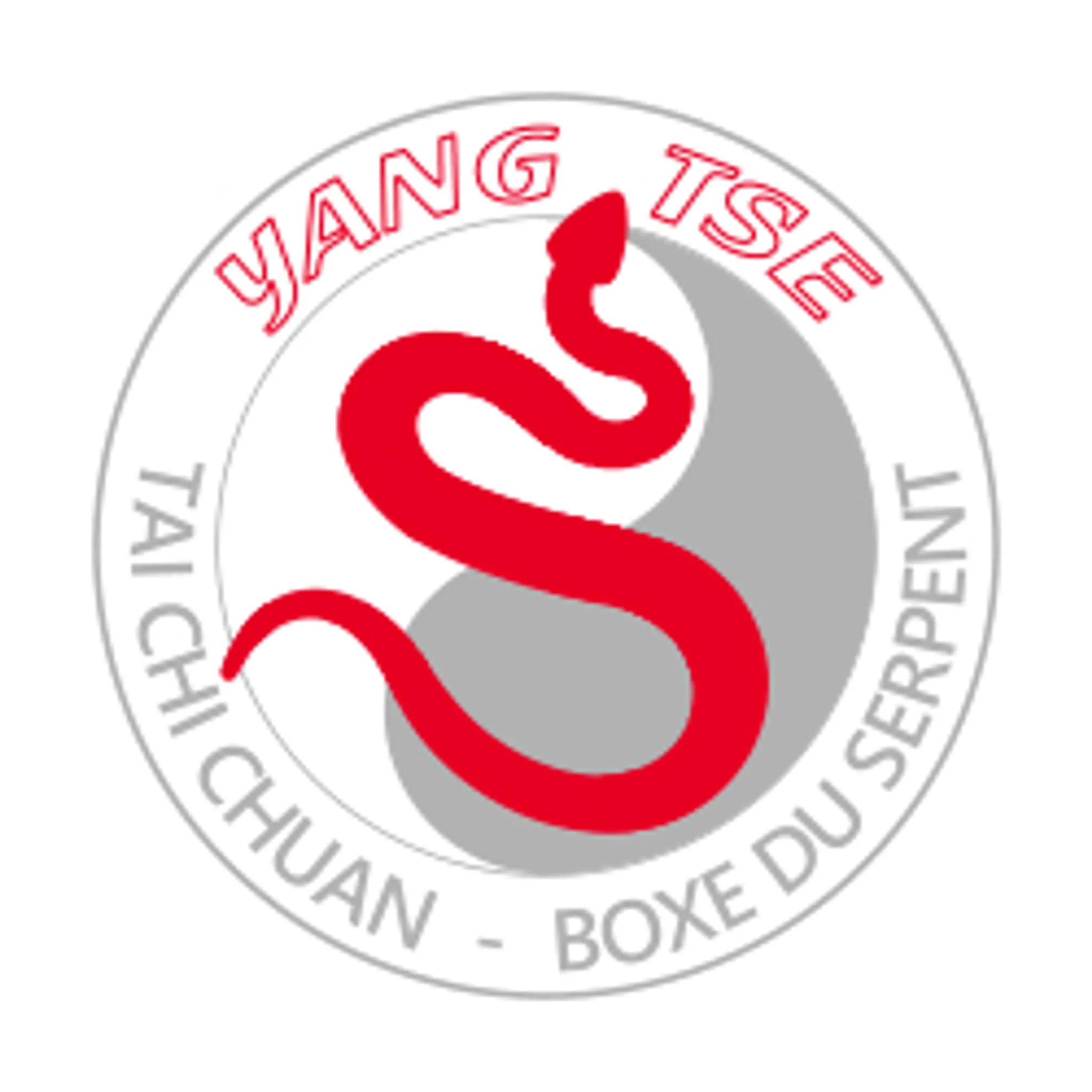 Yang Tse, Tai Chi Chuan À Lyon