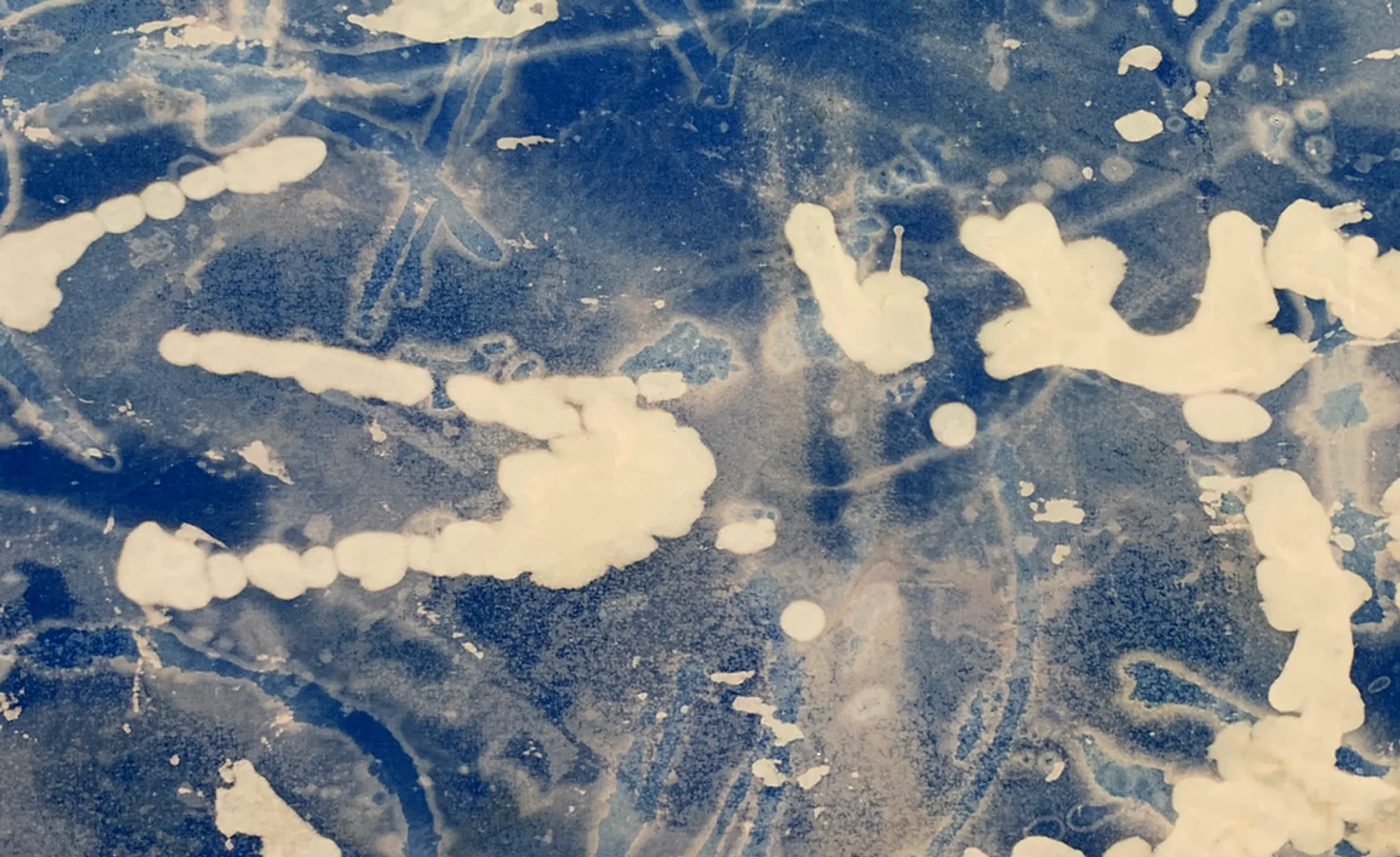 11h11 Holistic Project