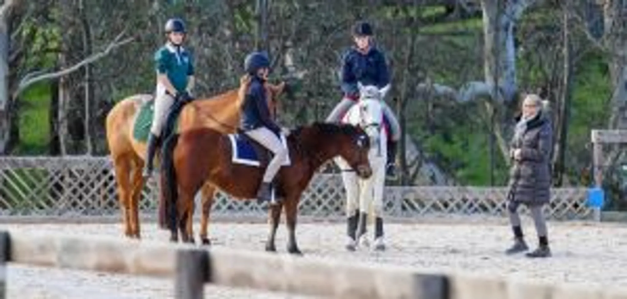 Pony Club Association of South Australia Inc