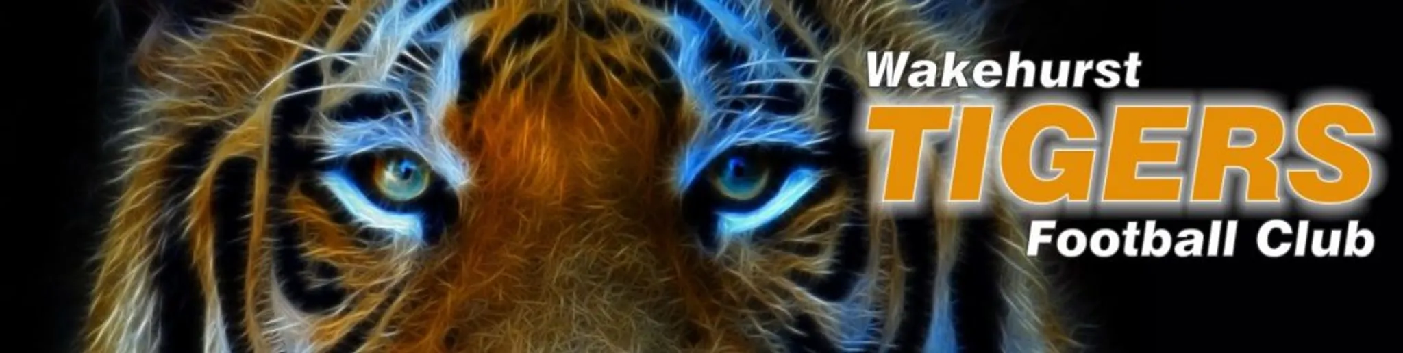 Wakehurst FC - County Road Field