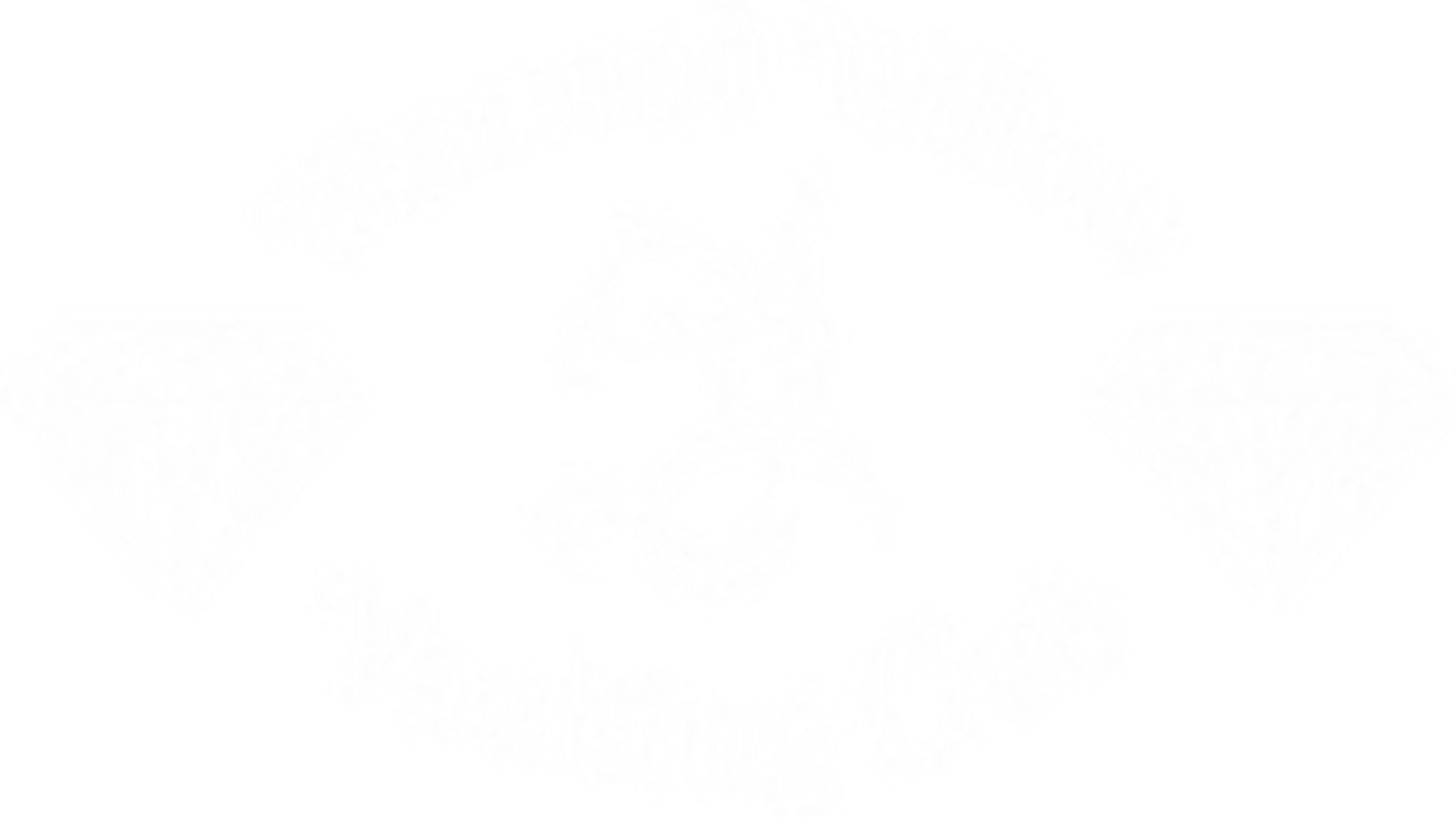 Diamond Willow Vaulting Club