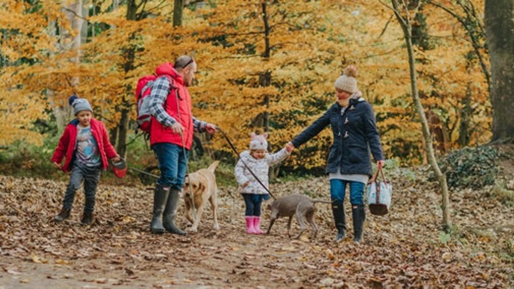 Lanhydrock Cycle Trails