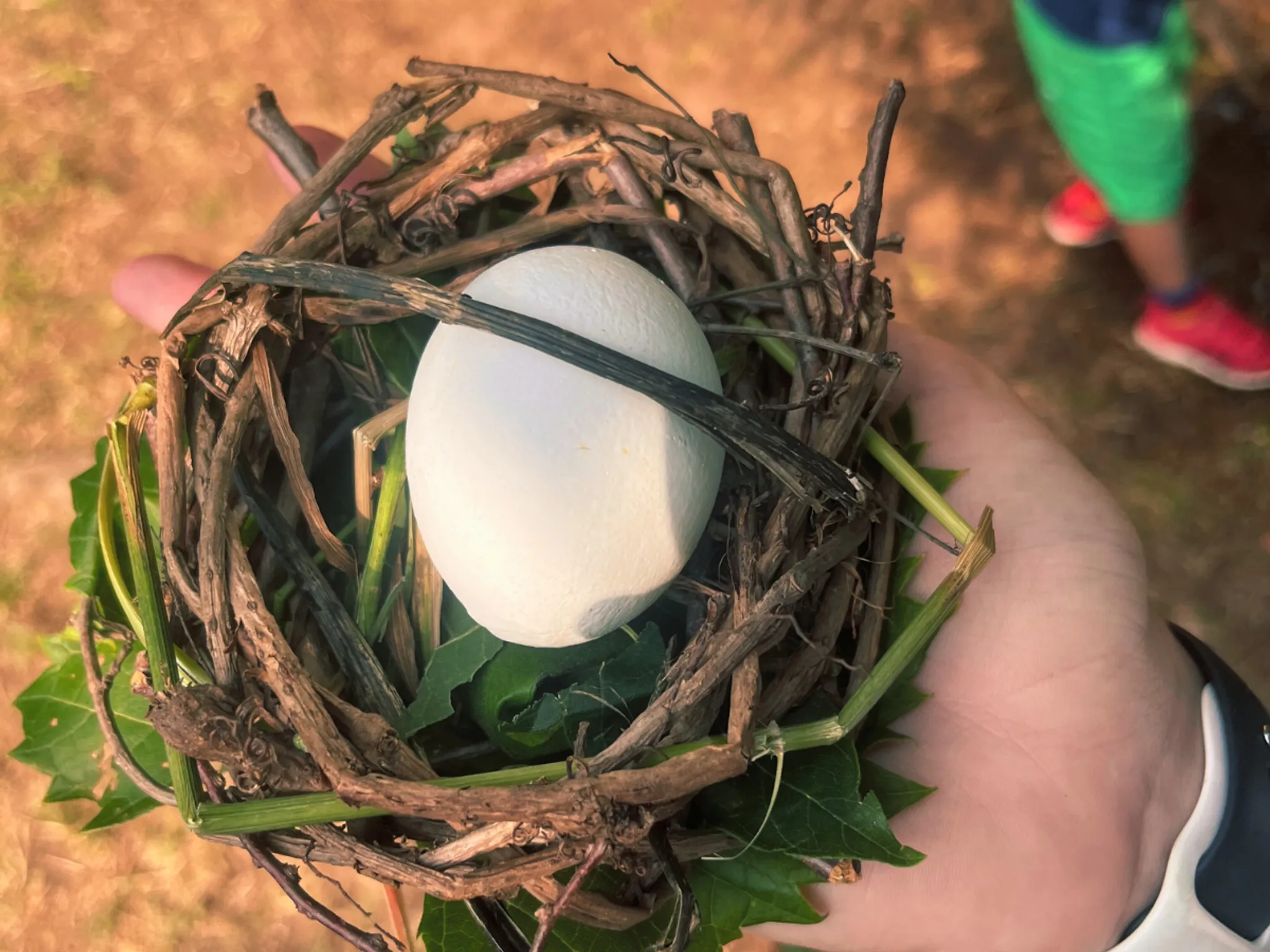 Elements Fitness and Wellness