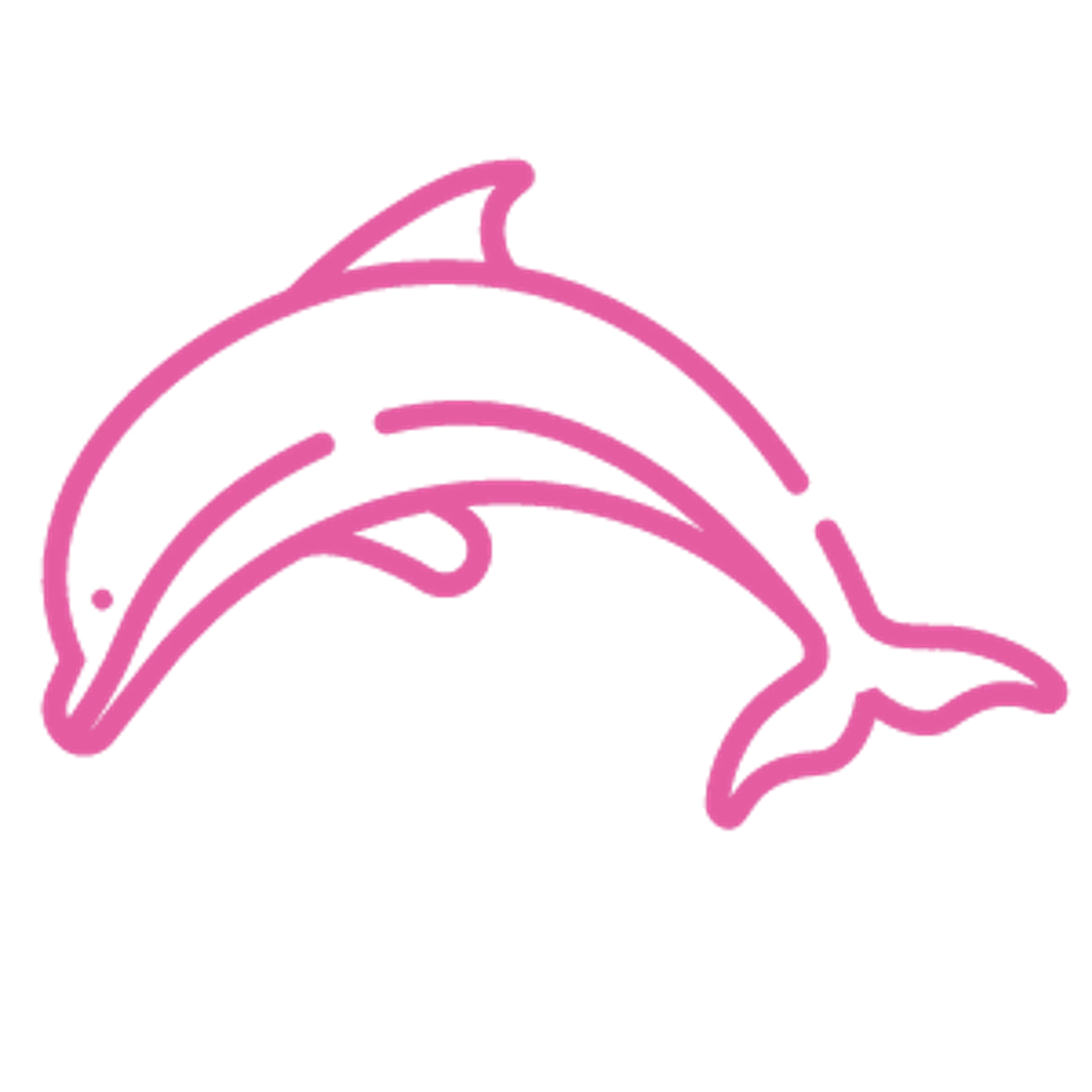 Delfina's Swim School