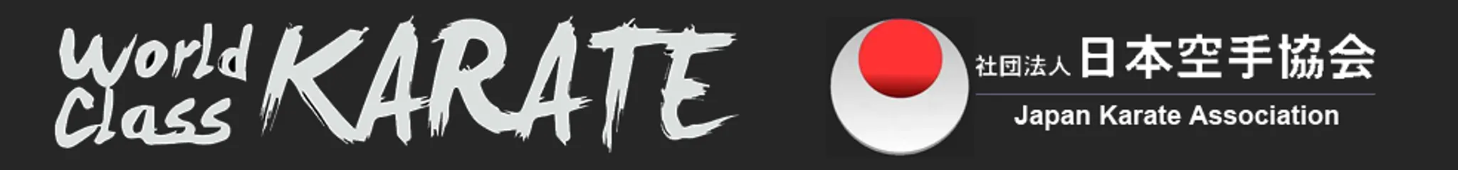 World Class Karate - Vaughan