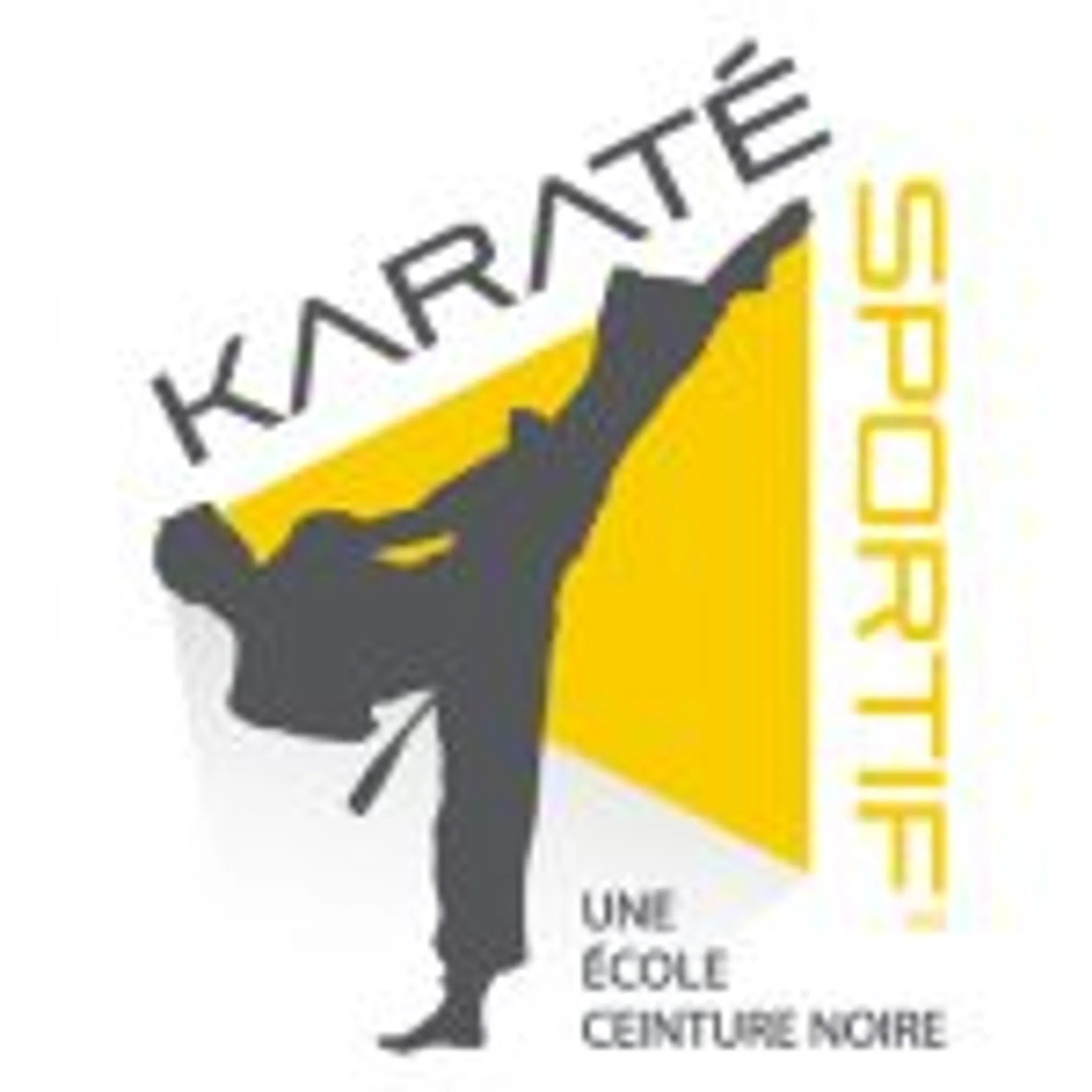 Karate Sportif Groupe