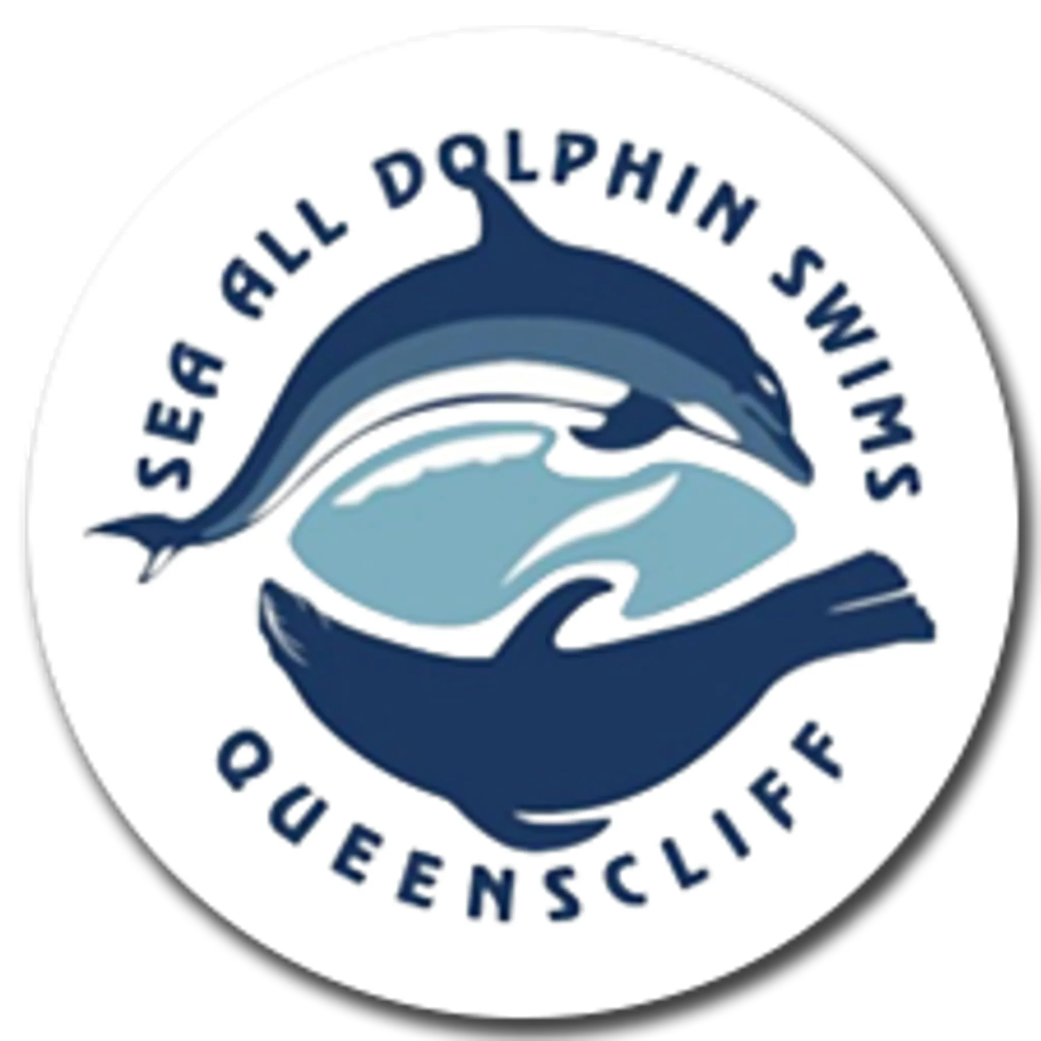 Sea All Dolphin Swims