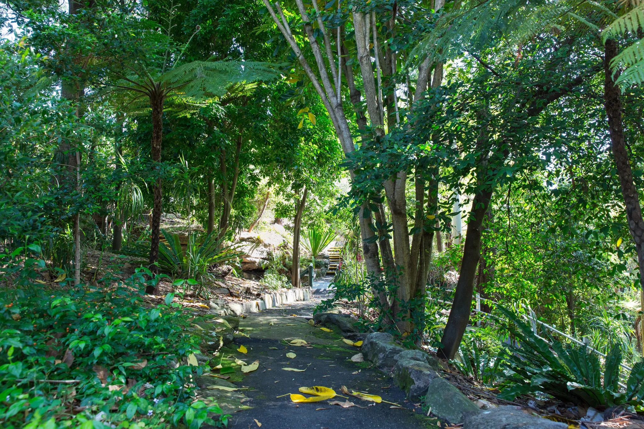 Cape Baily Coast Walk