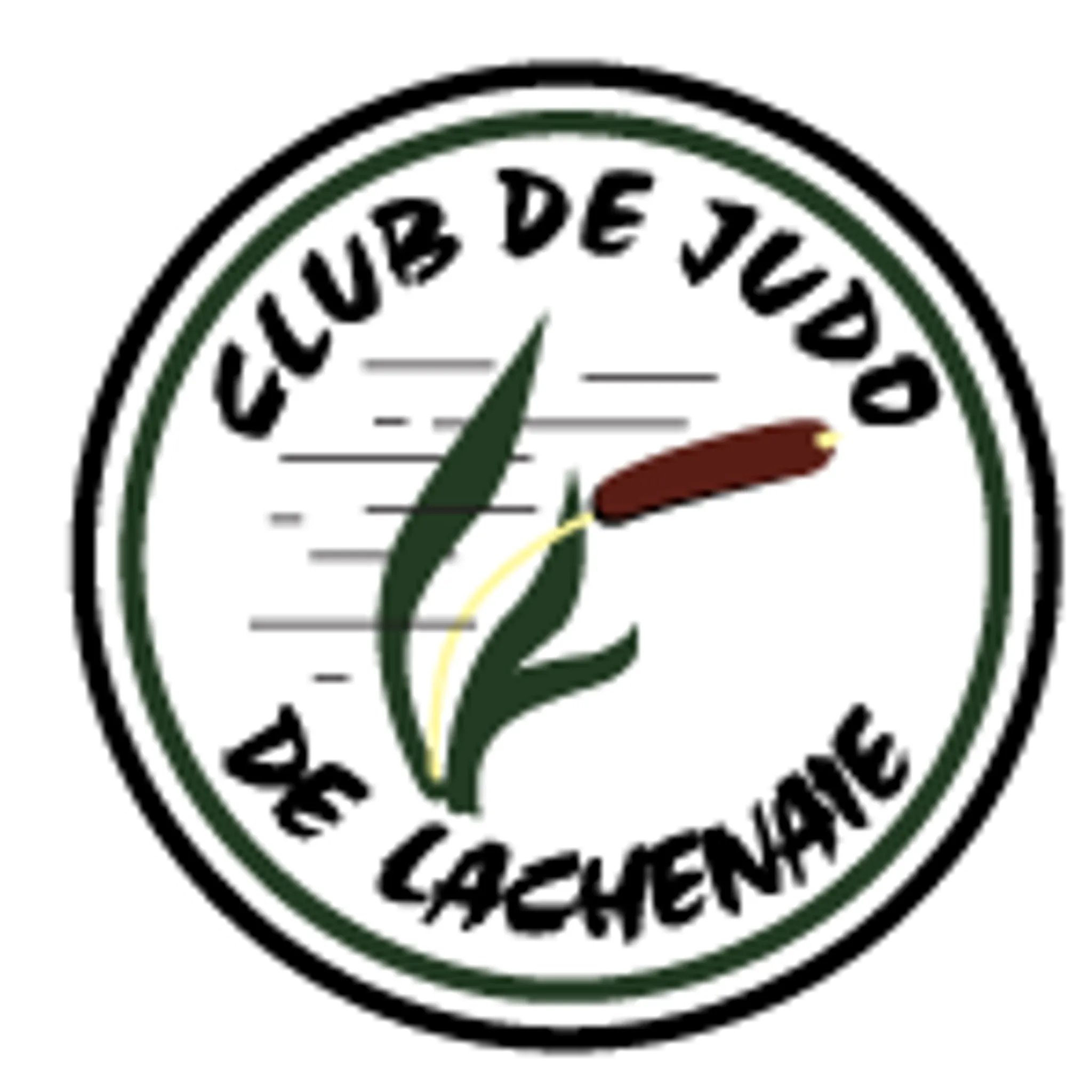 Club de Judo Lachenaie