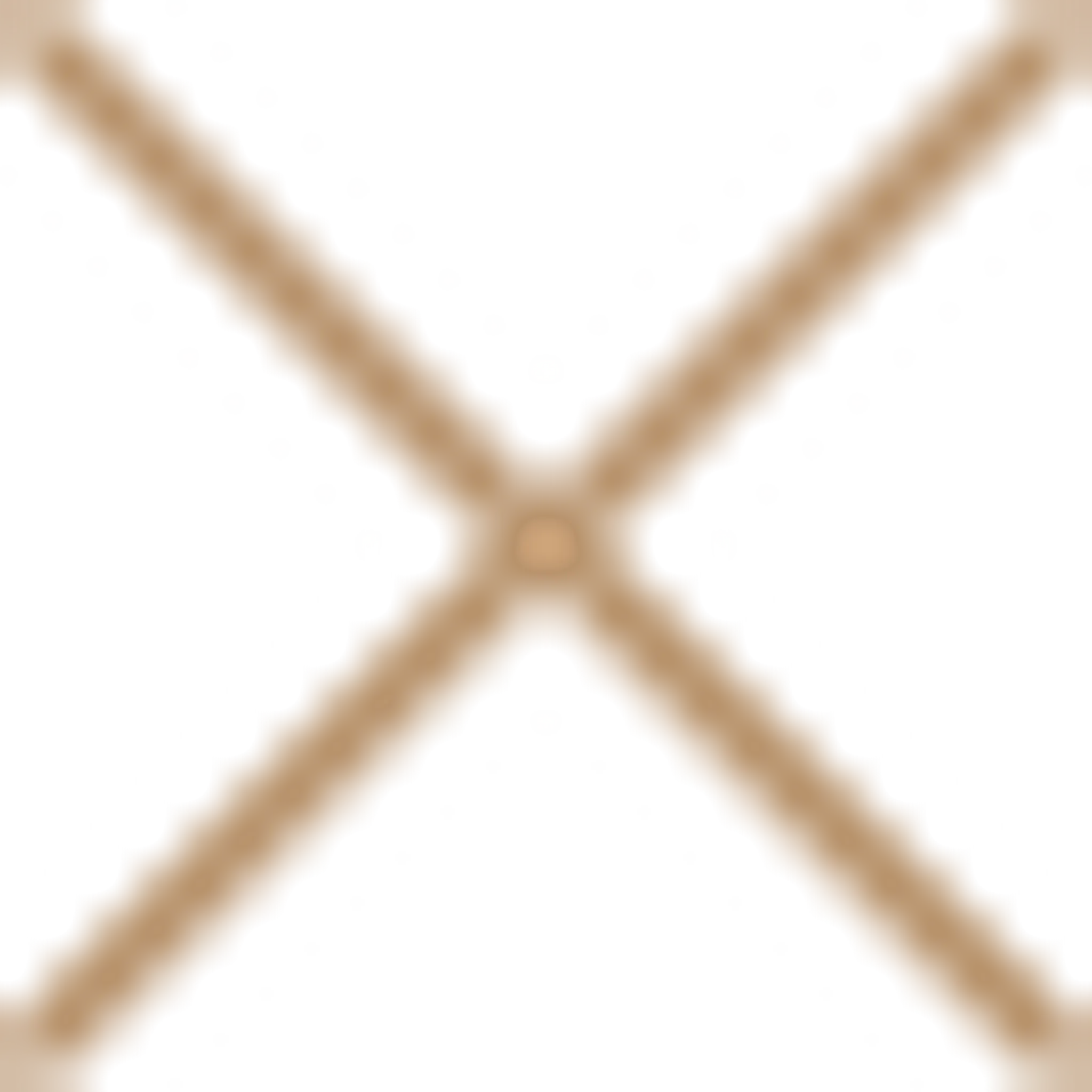 Ascent Descent Adventures