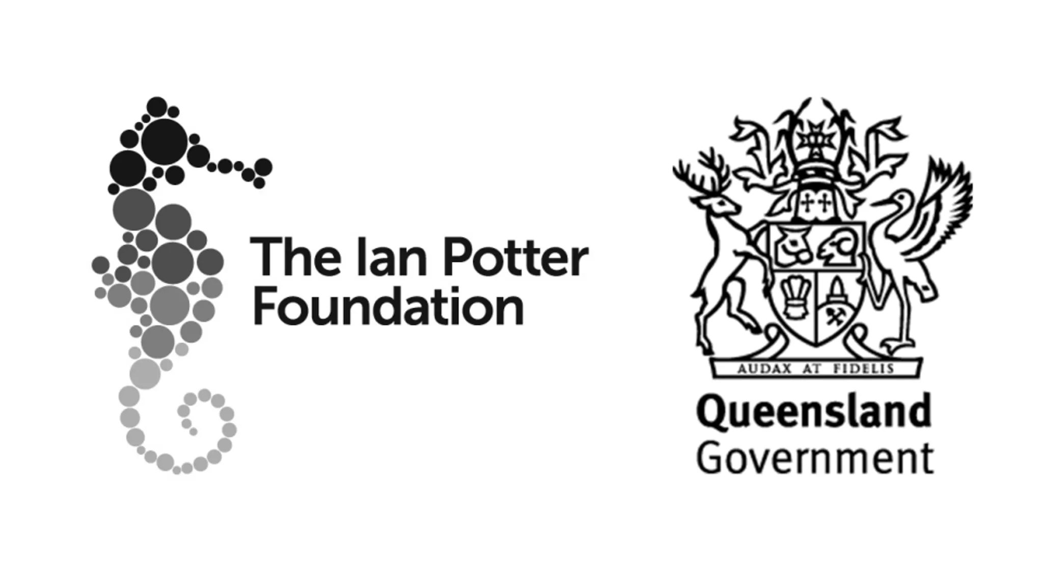 Dancenorth Australia