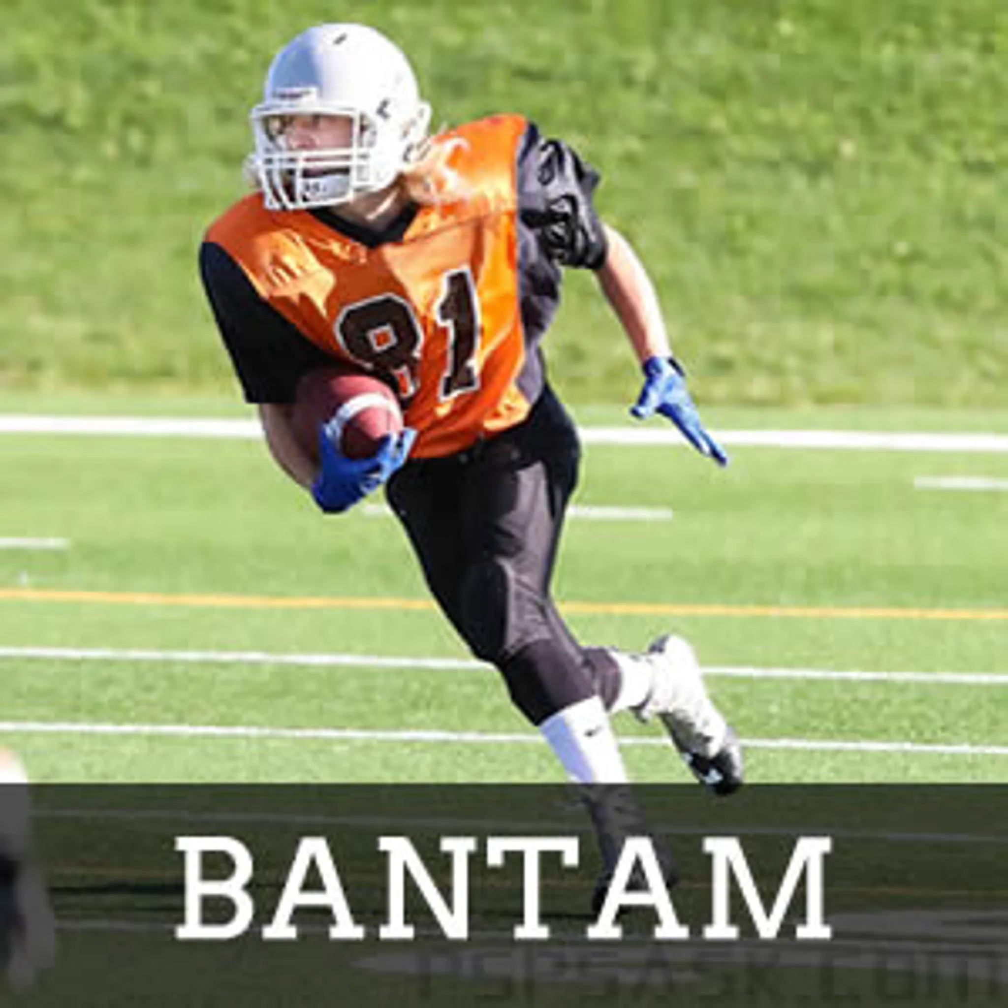 Bantam Division Football Season