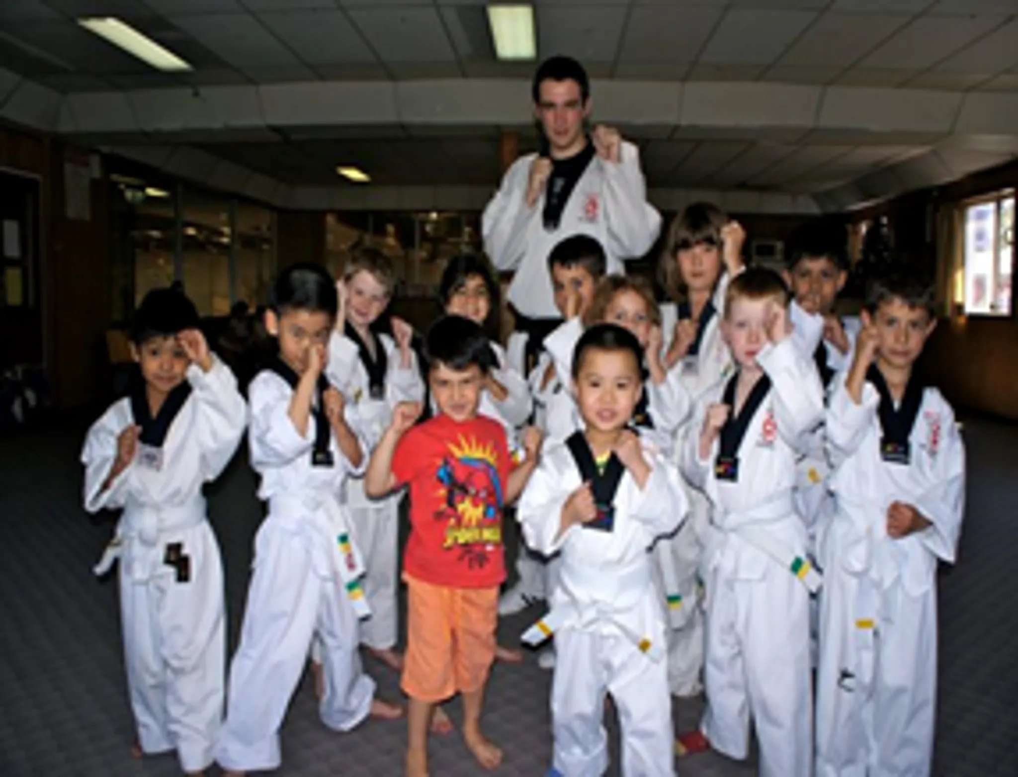 Red Dragon Taekwondo Pty Ltd
