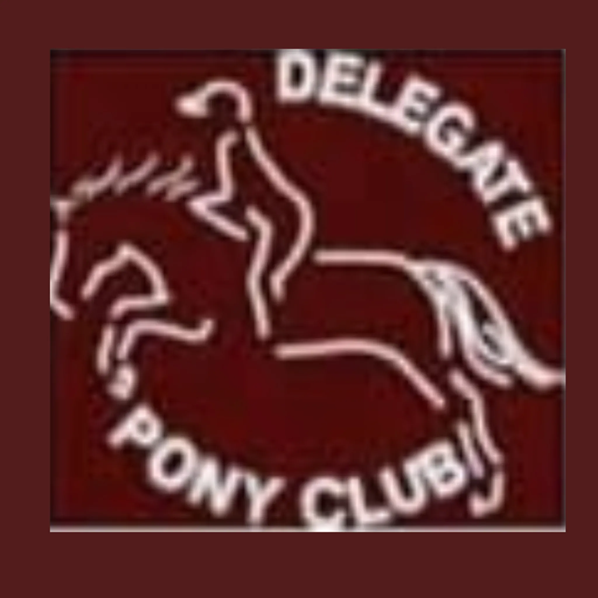 Delegate Pony Club