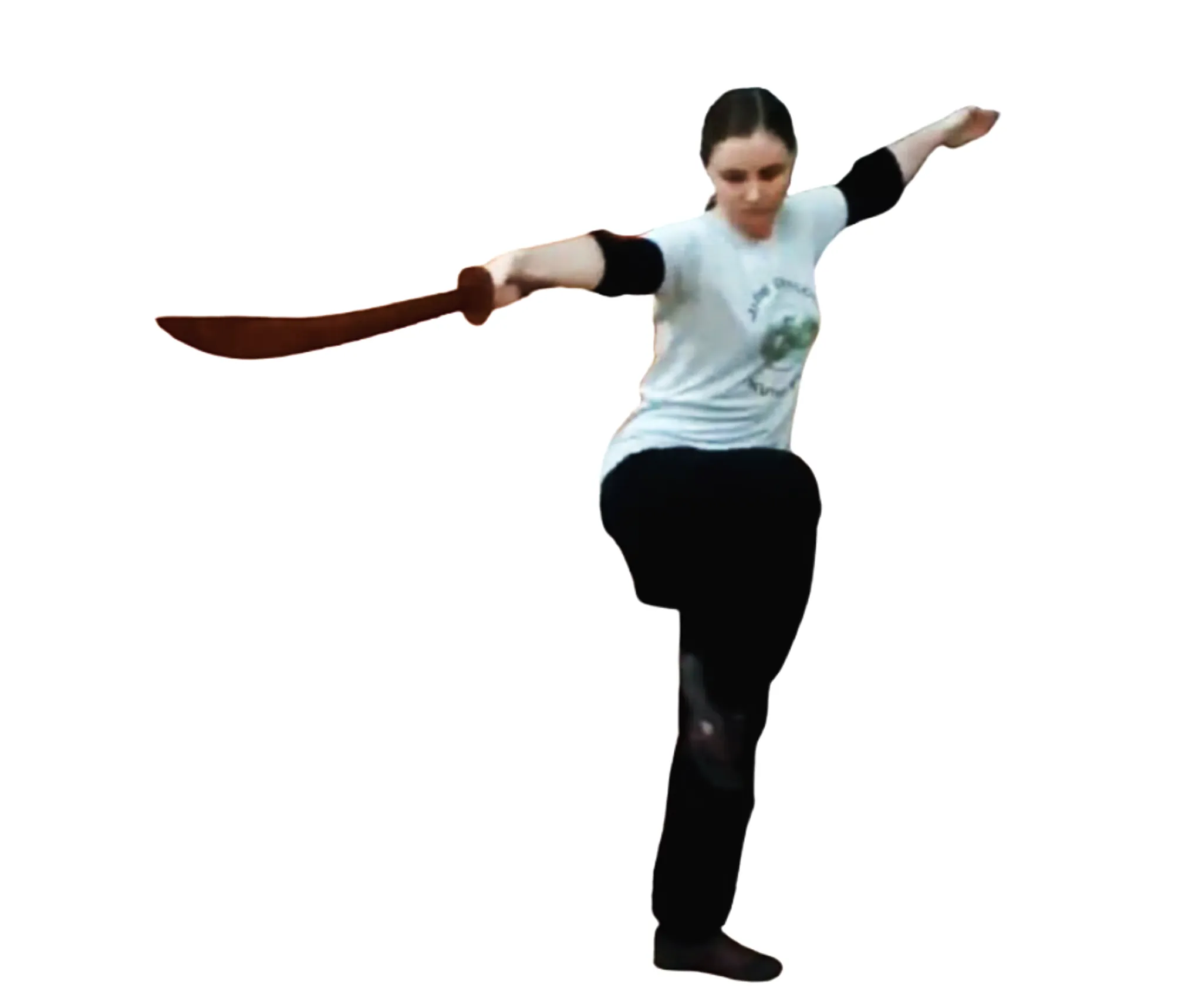 Jade Dragon School of Kung Fu and Tai Chi