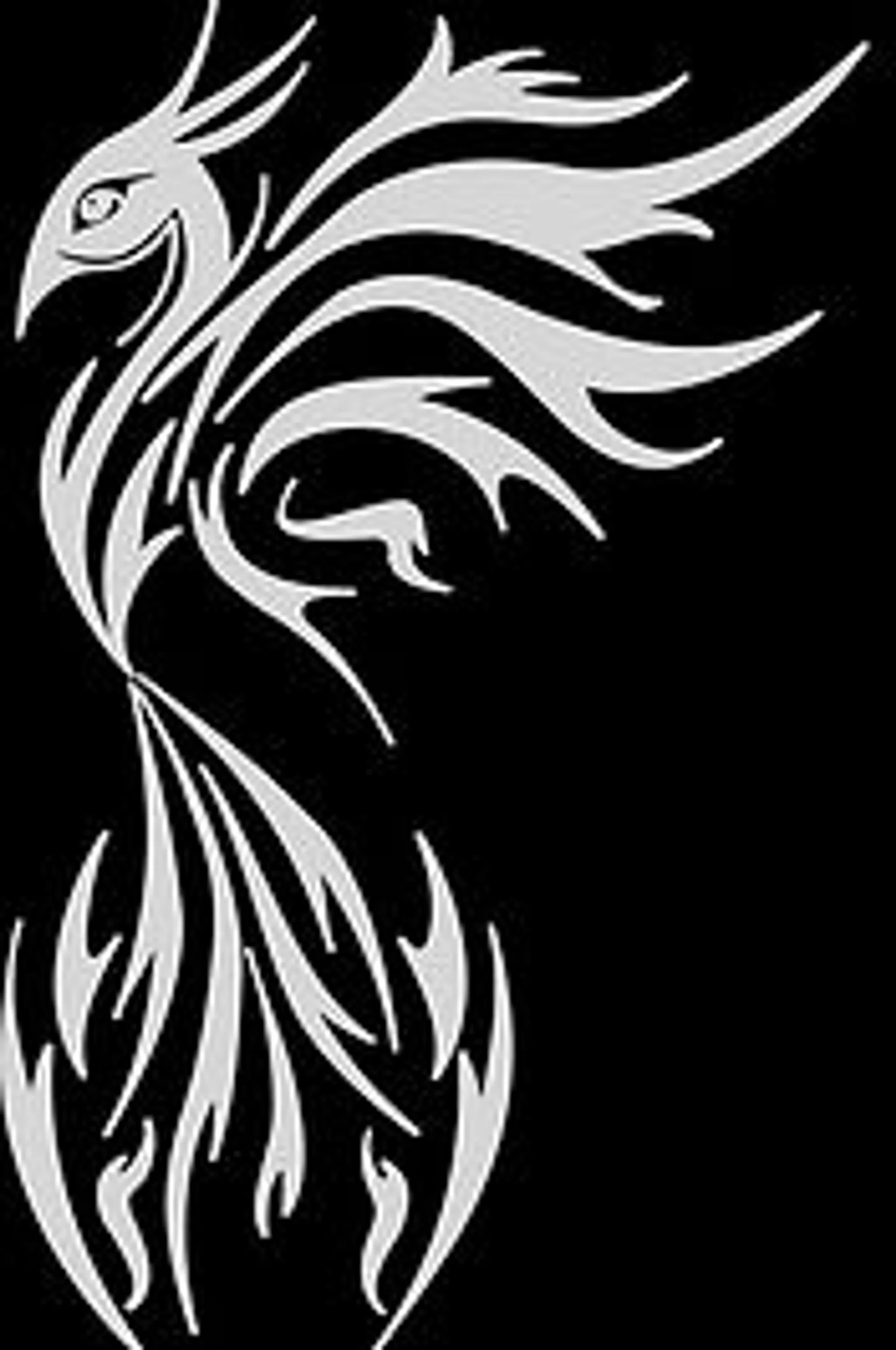 White Phoenix Canine Hydrotherapy Worcestershire