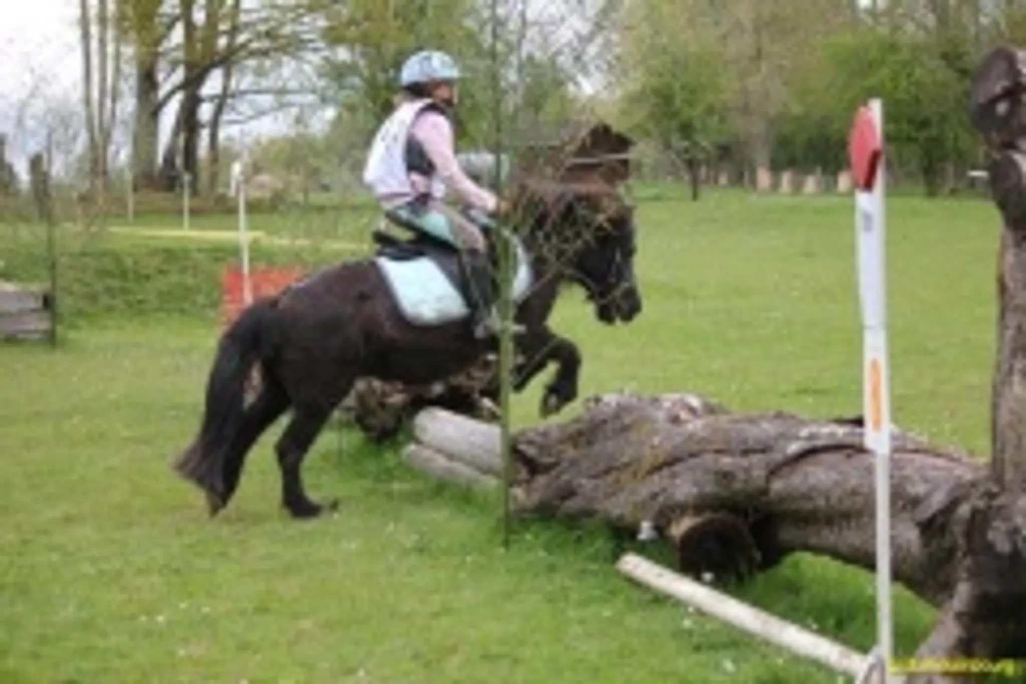 Trec en attelage Spé PTV montée
