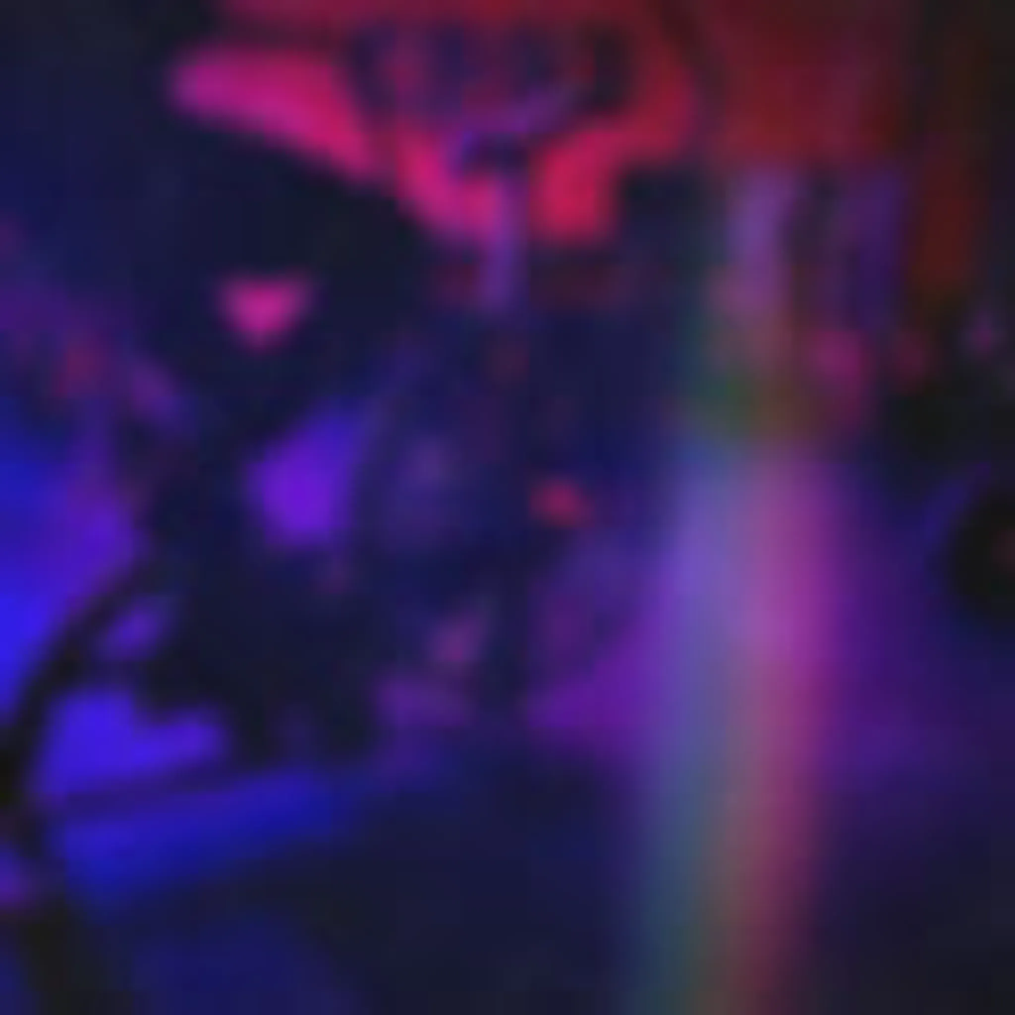 Iron Aesthetics Personal Training