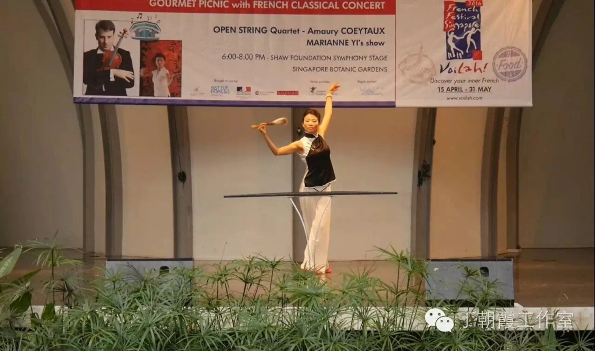 Xia Arts Energetiques