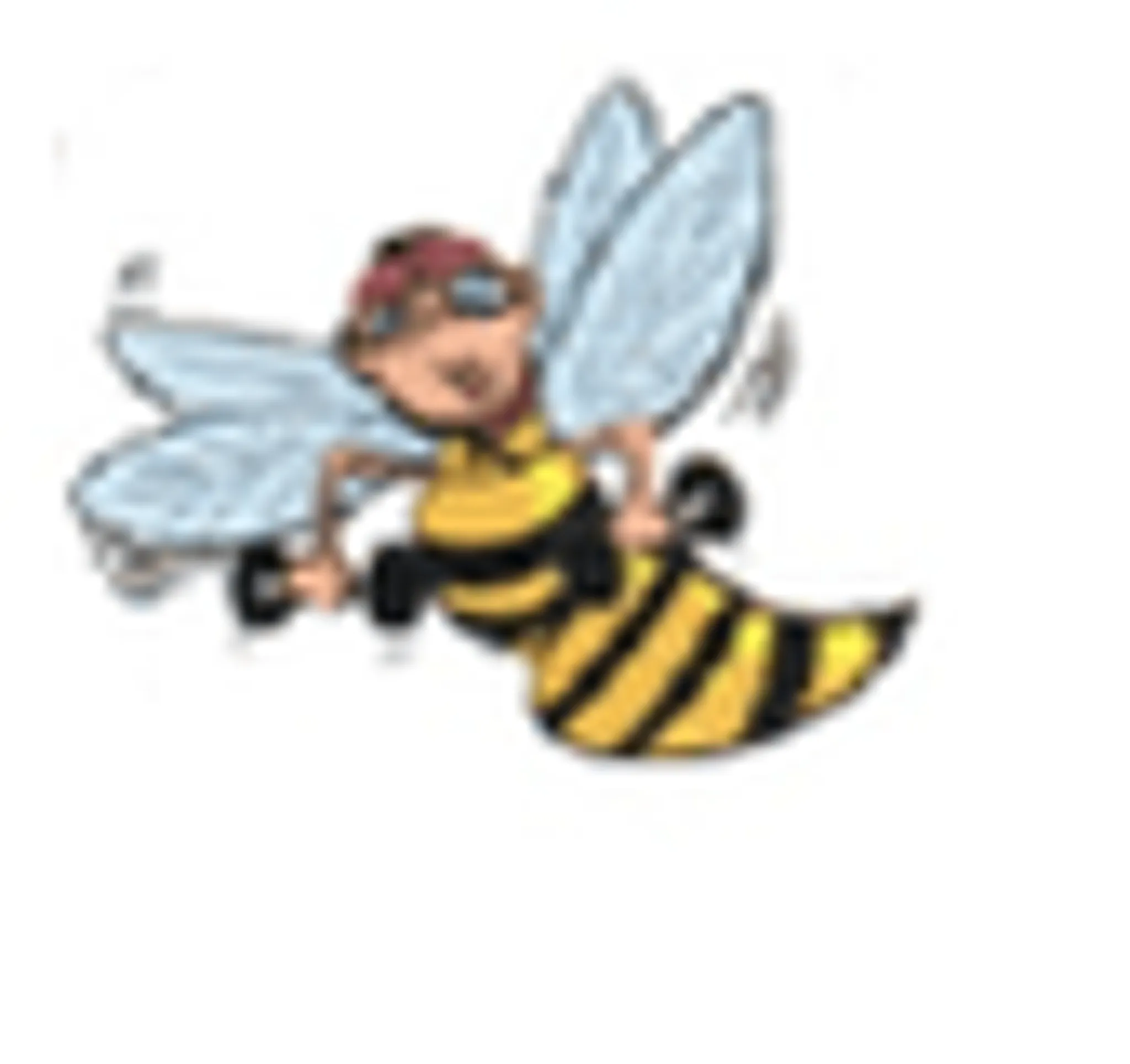 Bee Wellness Older Adult Fitness and Rehab Therapy